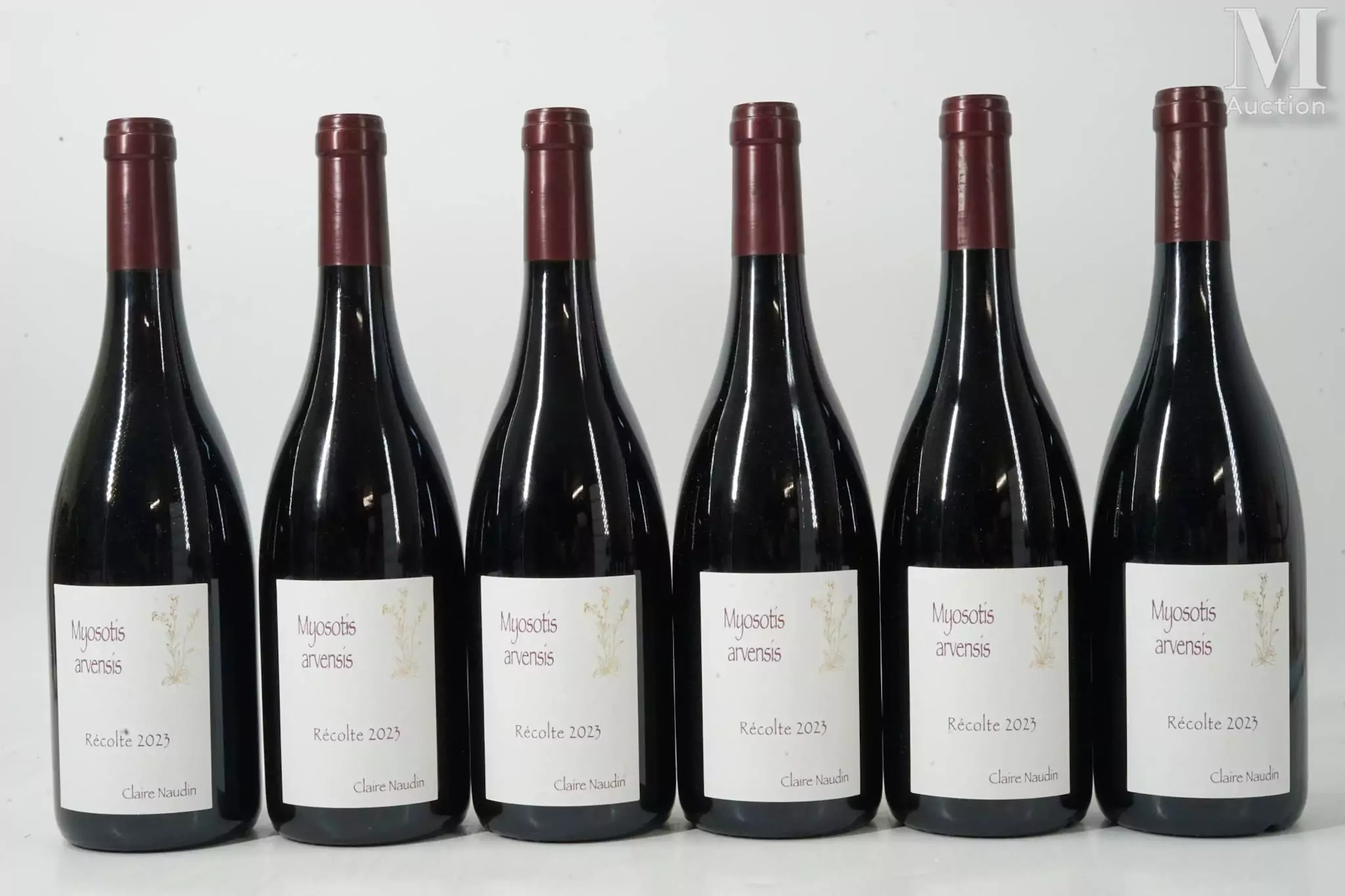 HAUTES-CÔTES-DE-NUITS