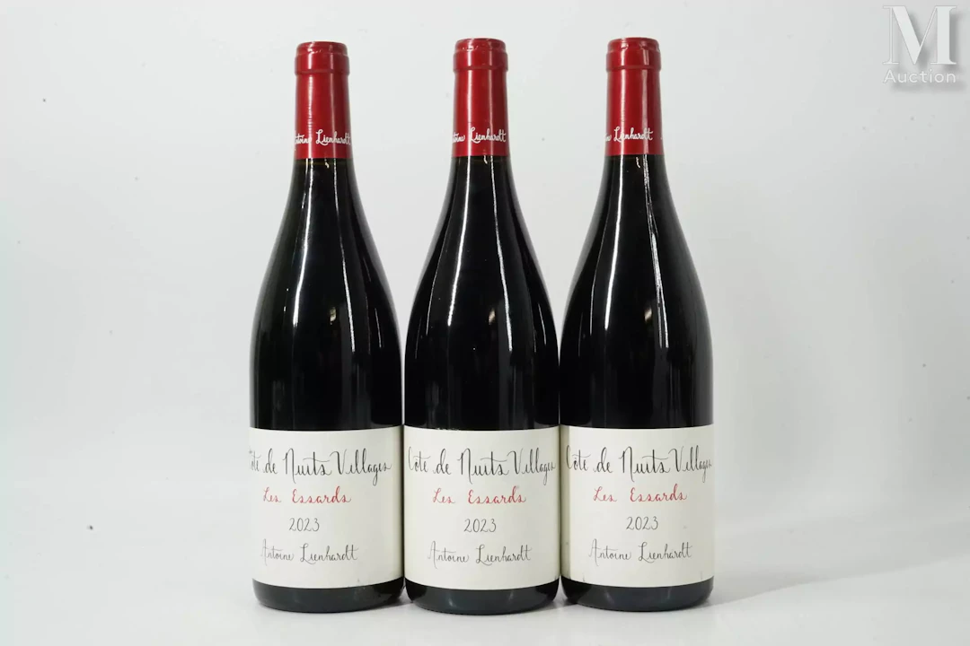 CÔTE-DE-NUITS-VILLAGES