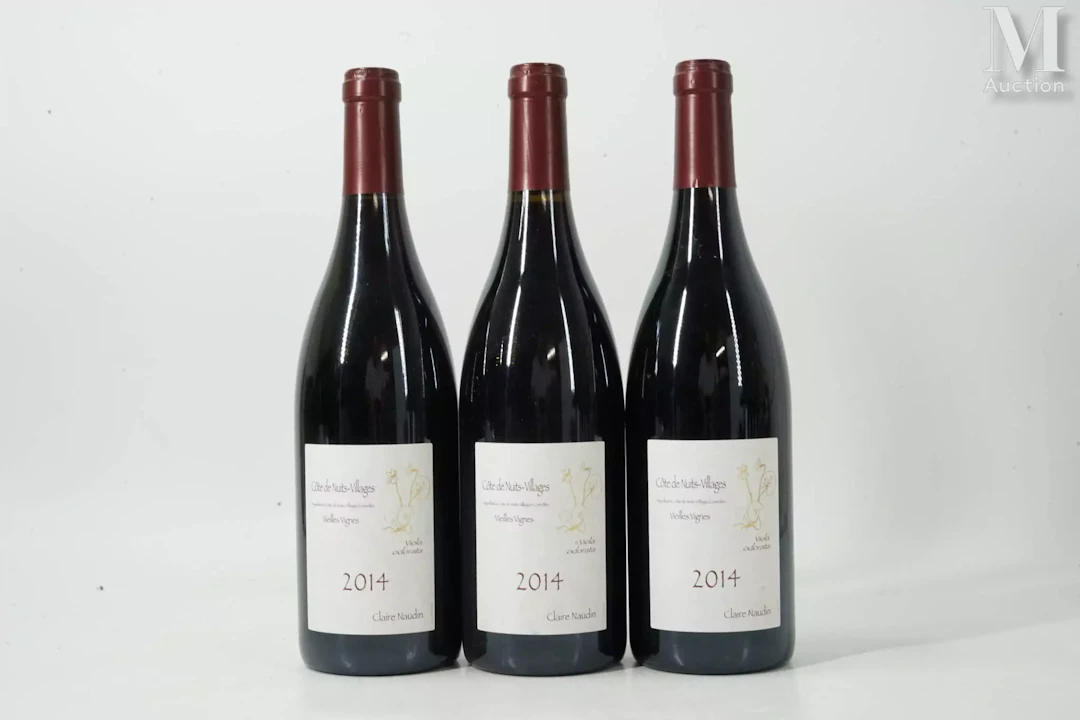 CÔTE-DE-NUITS-VILLAGES
