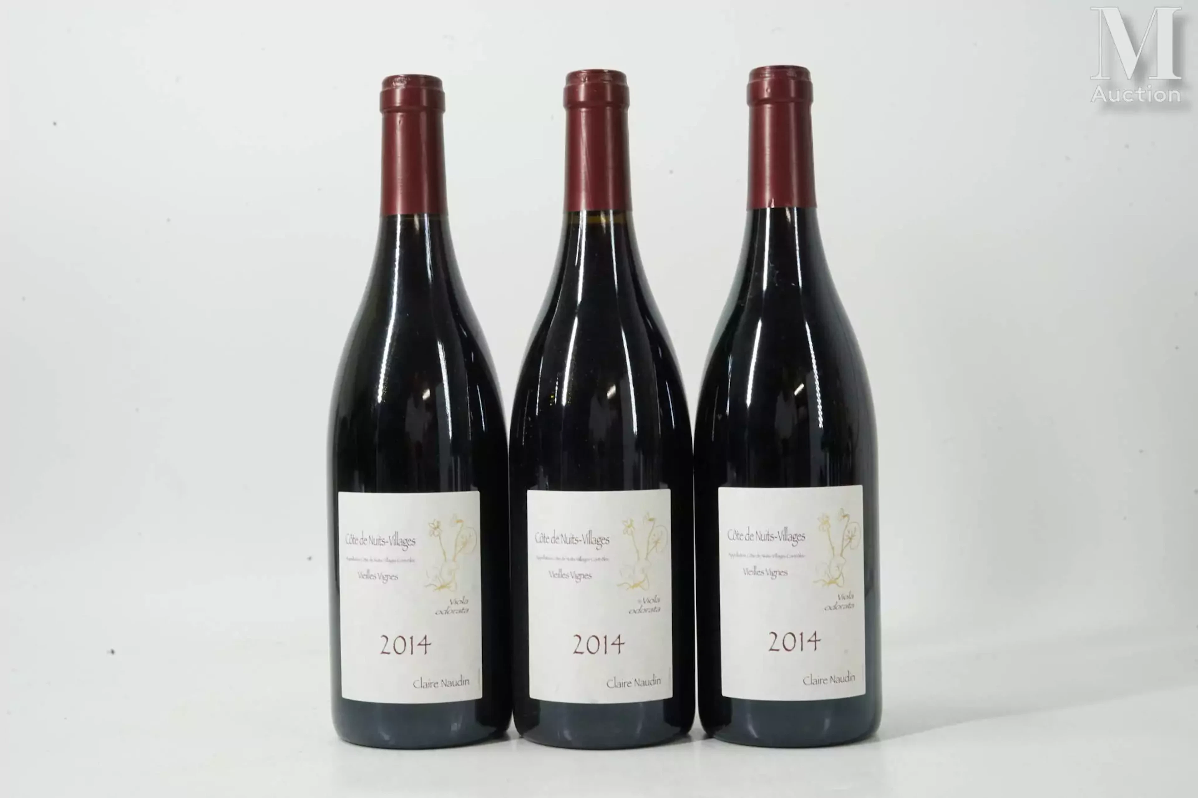 CÔTE-DE-NUITS-VILLAGES