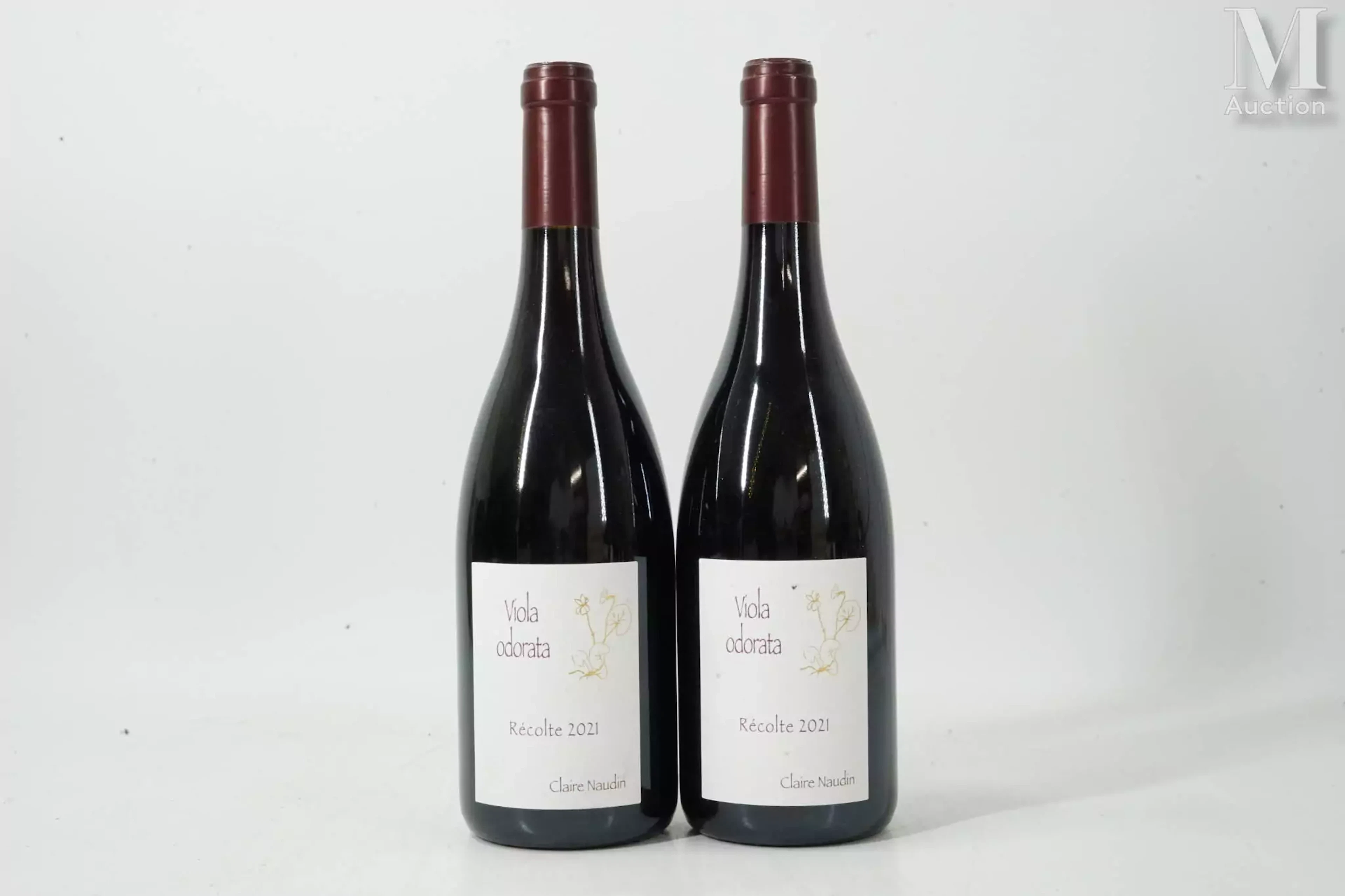 CÔTE-DE-NUITS-VILLAGES