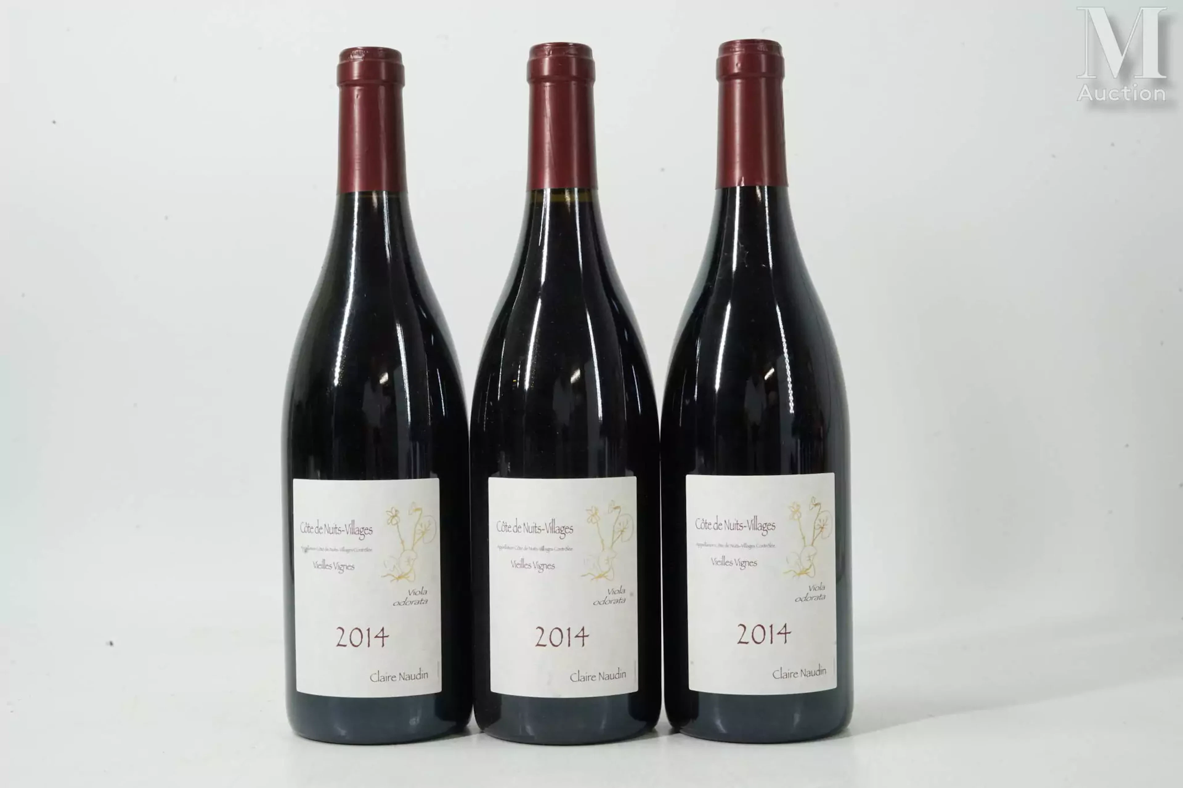 CÔTE-DE-NUITS-VILLAGES