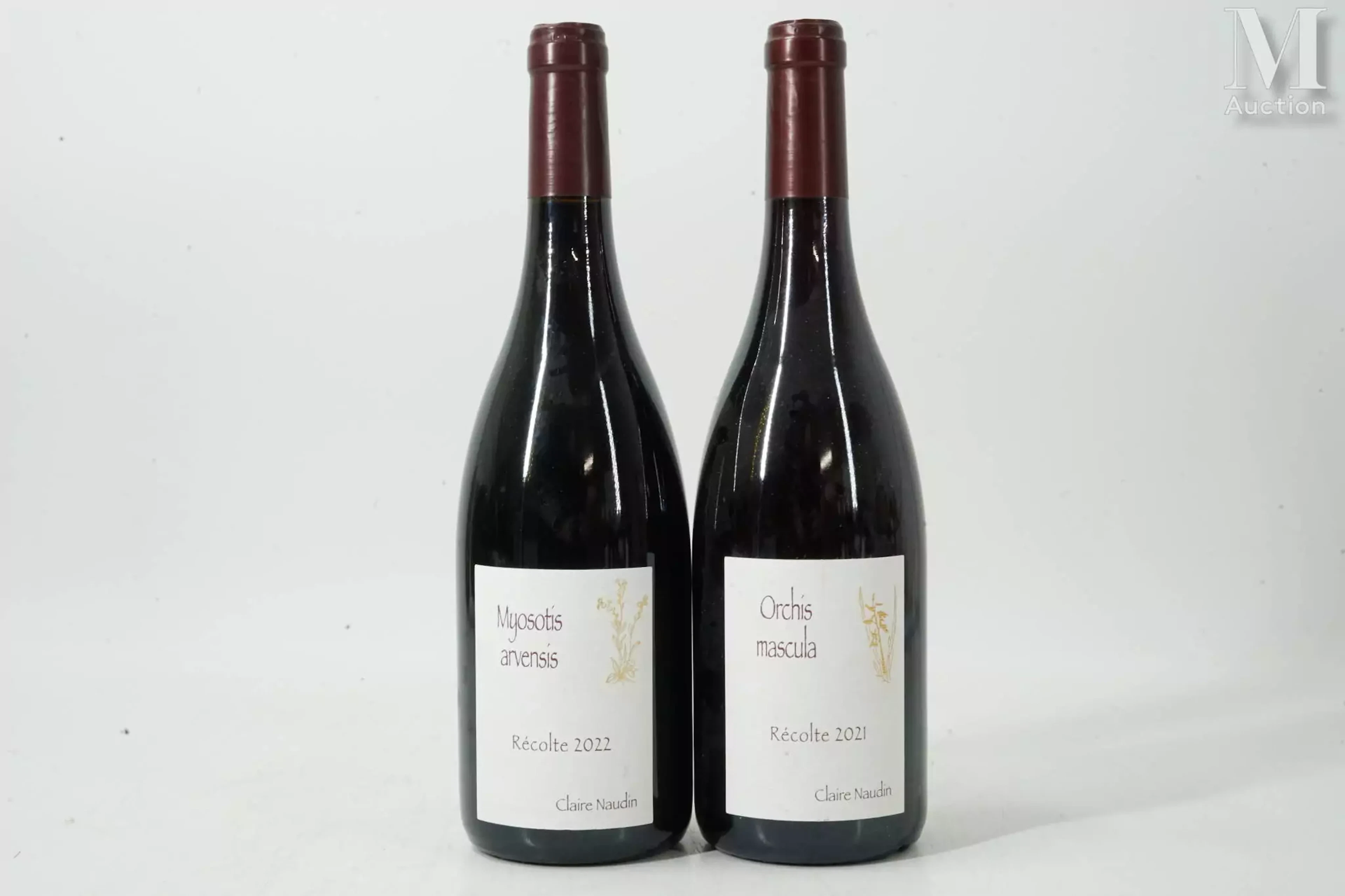 HAUTES-CÔTES-DE-NUITS