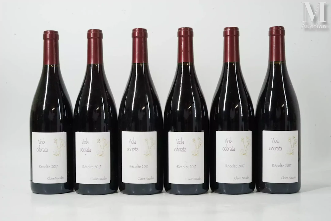 CÔTE-DE-NUITS-VILLAGES