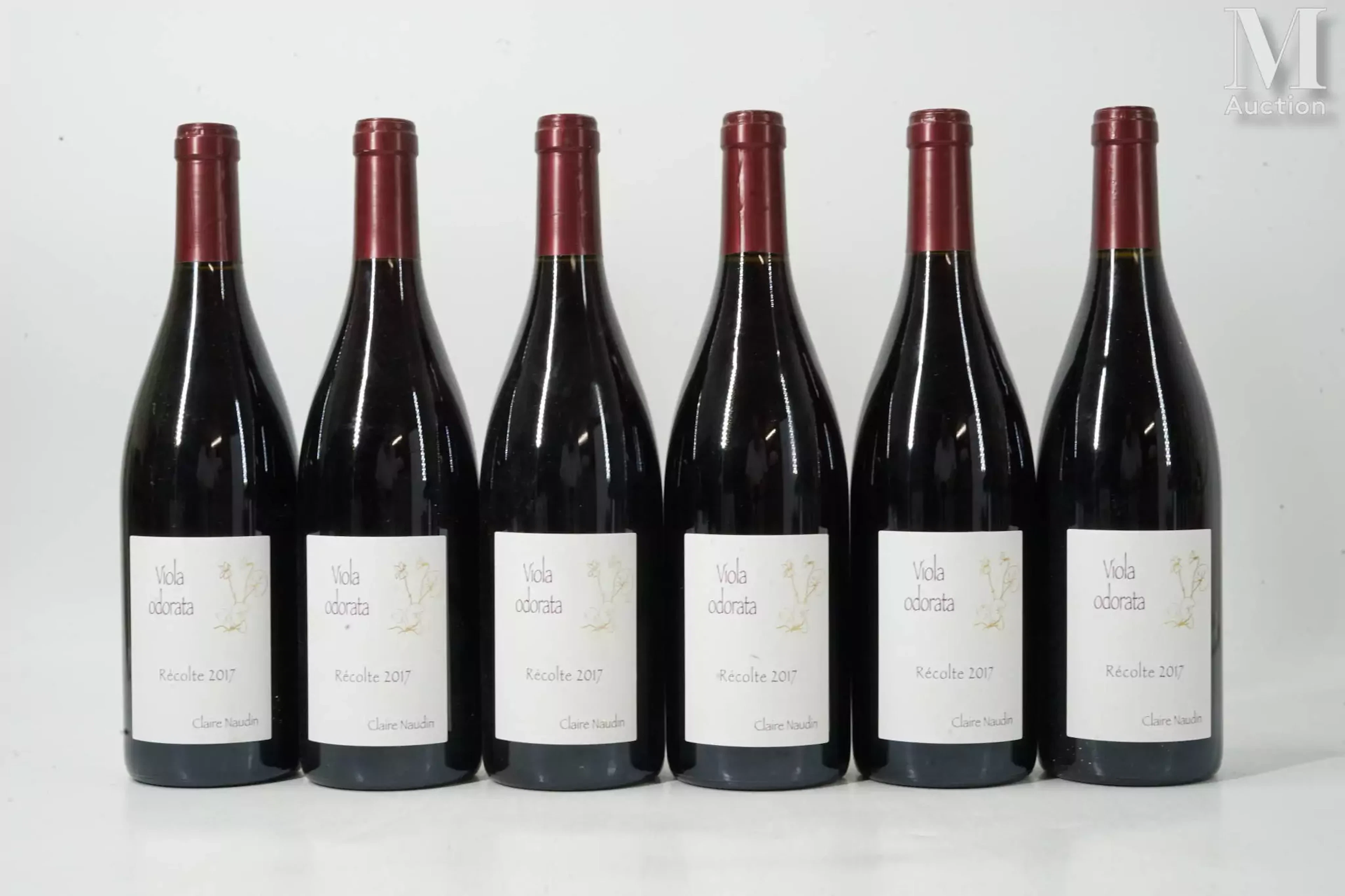 CÔTE-DE-NUITS-VILLAGES