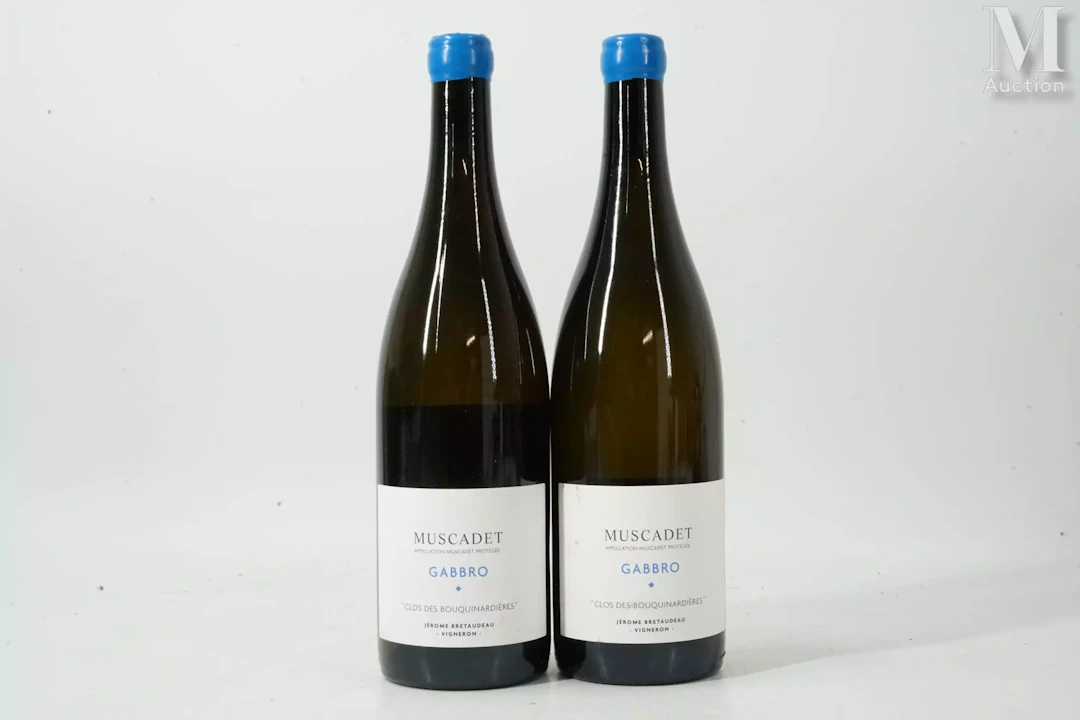 MUSCADET SÈVRES ET MAINE