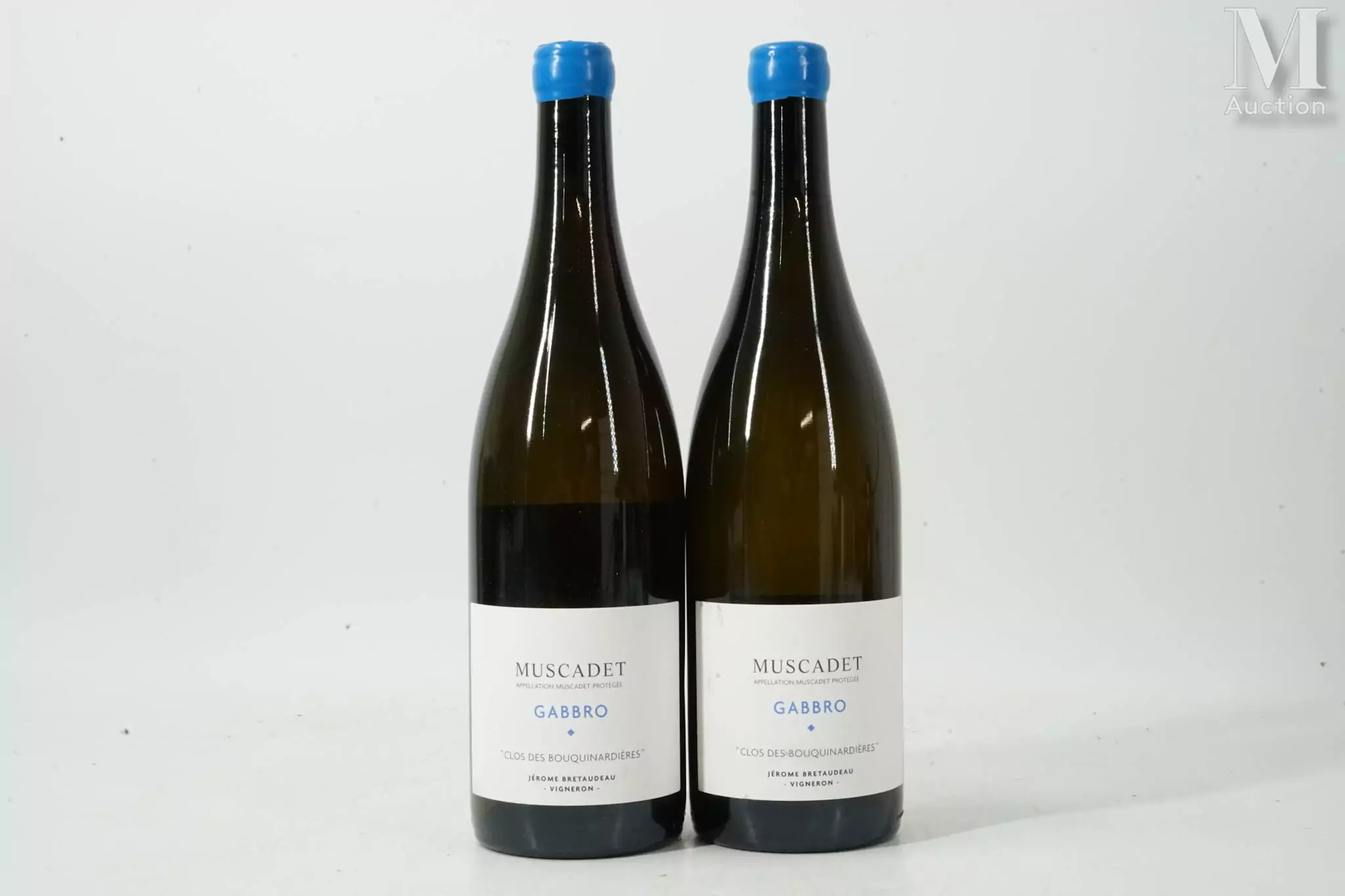 MUSCADET SÈVRES ET MAINE
