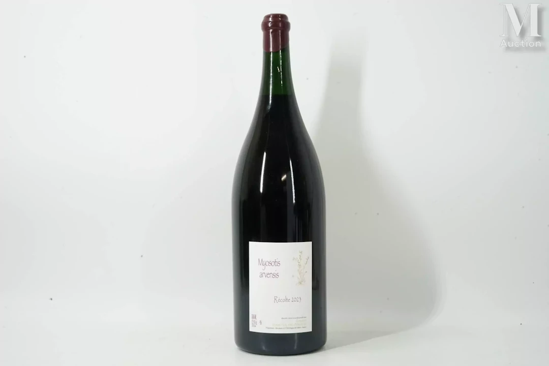 CÔTE-DE-NUITS-VILLAGES