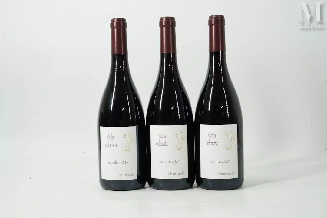 CÔTE-DE-NUITS-VILLAGES