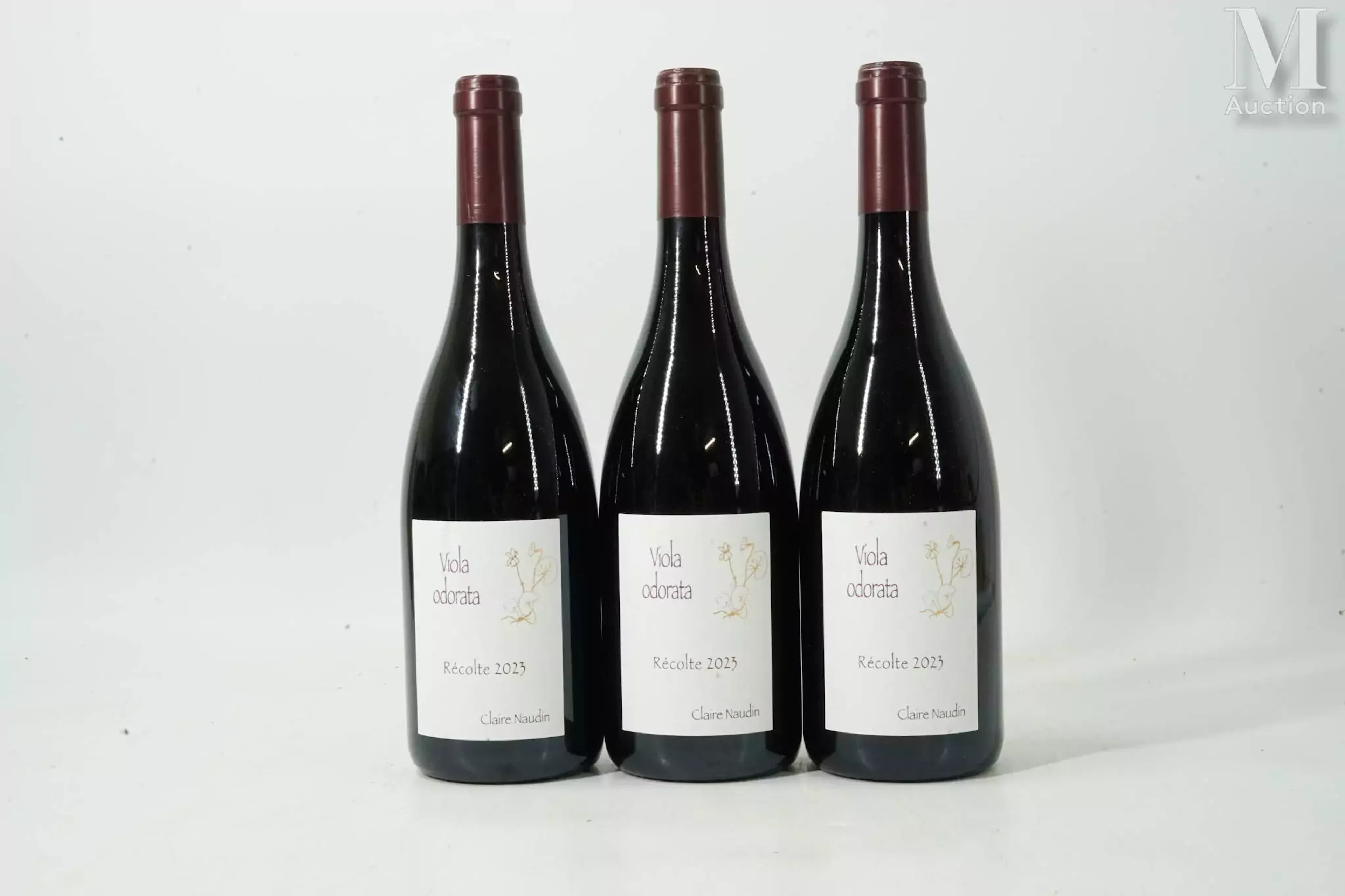 CÔTE-DE-NUITS-VILLAGES