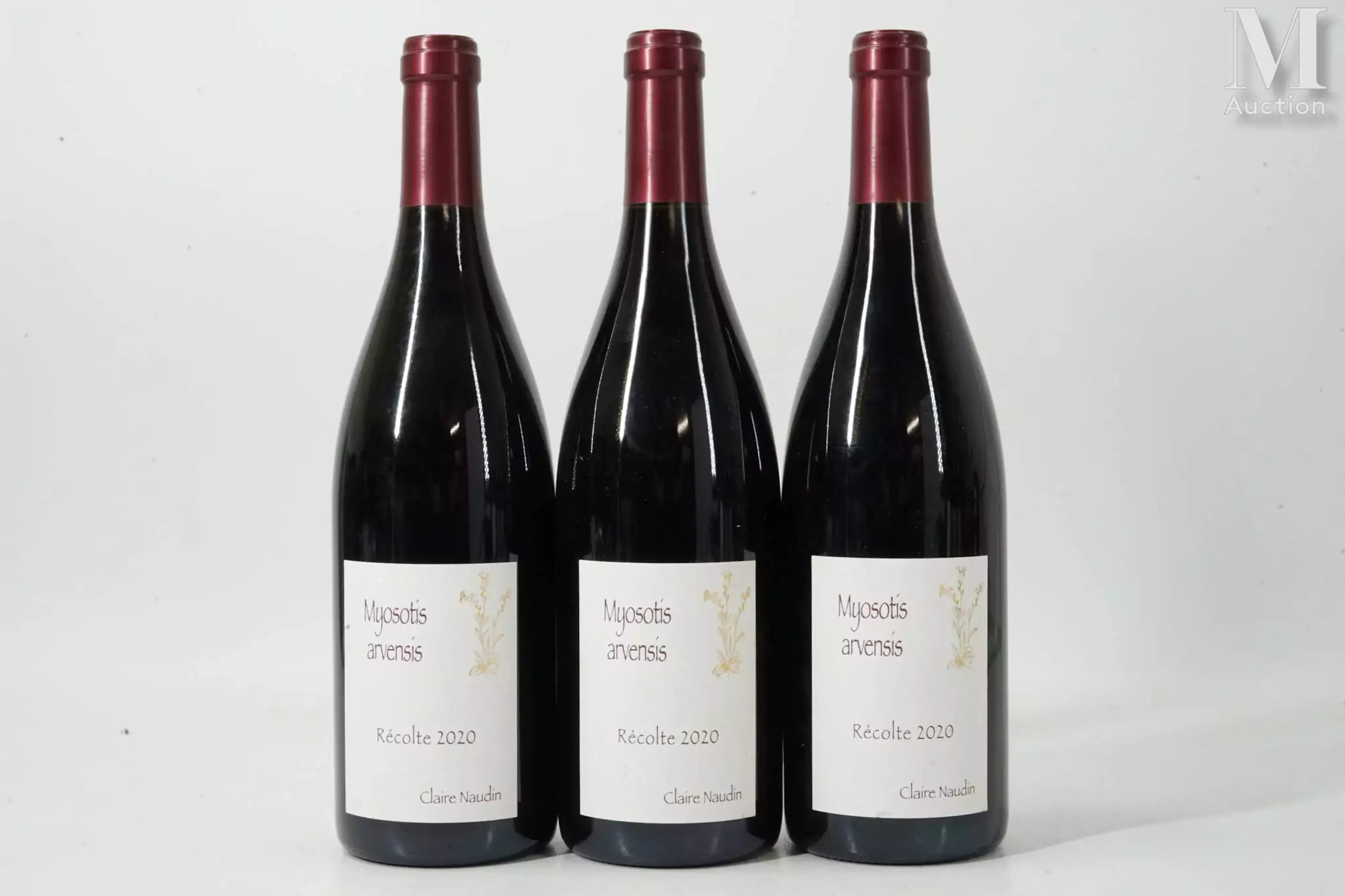 HAUTES-CÔTES-DE-NUITS