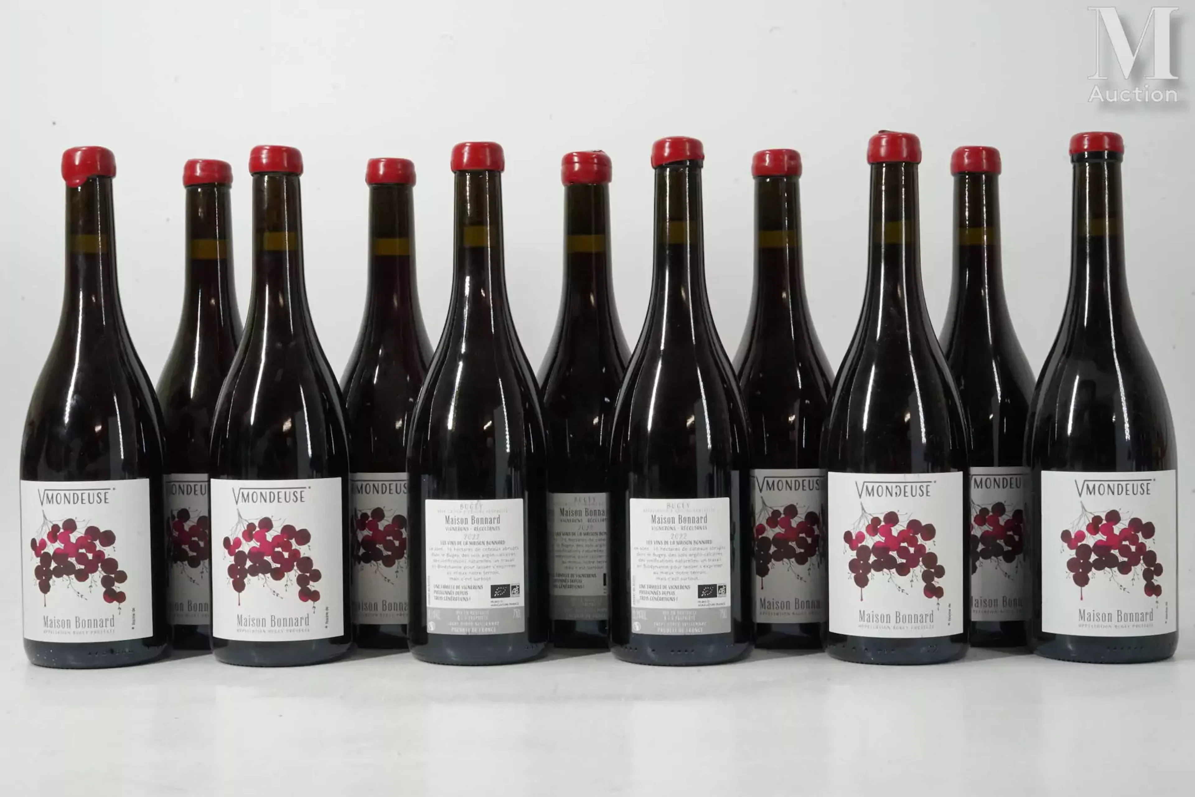 BUGEY