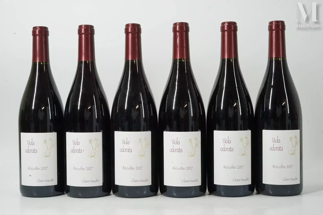 CÔTE-DE-NUITS-VILLAGES