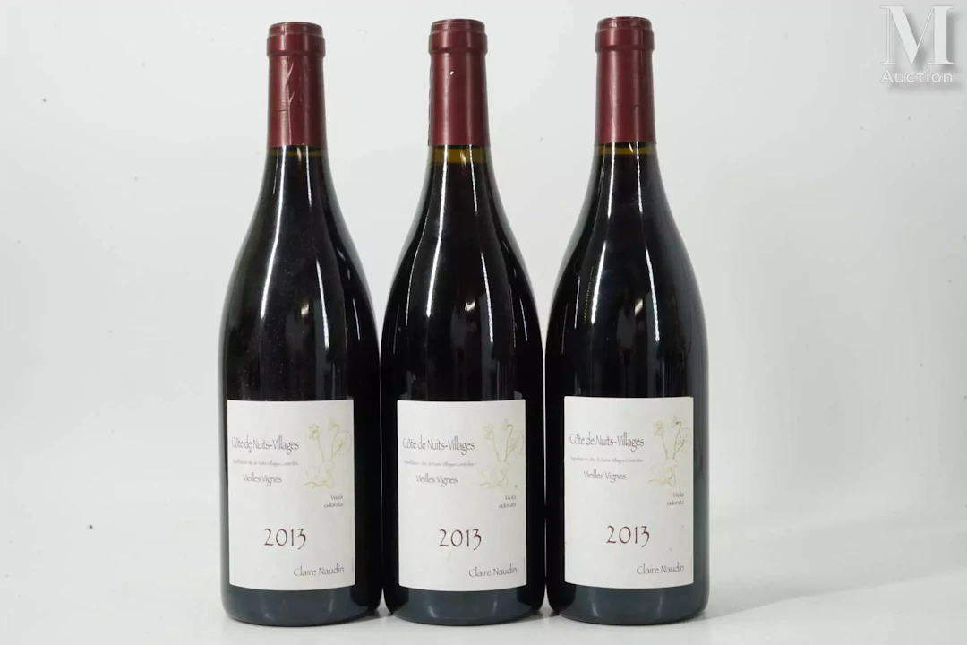 CÔTE-DE-NUITS-VILLAGES
