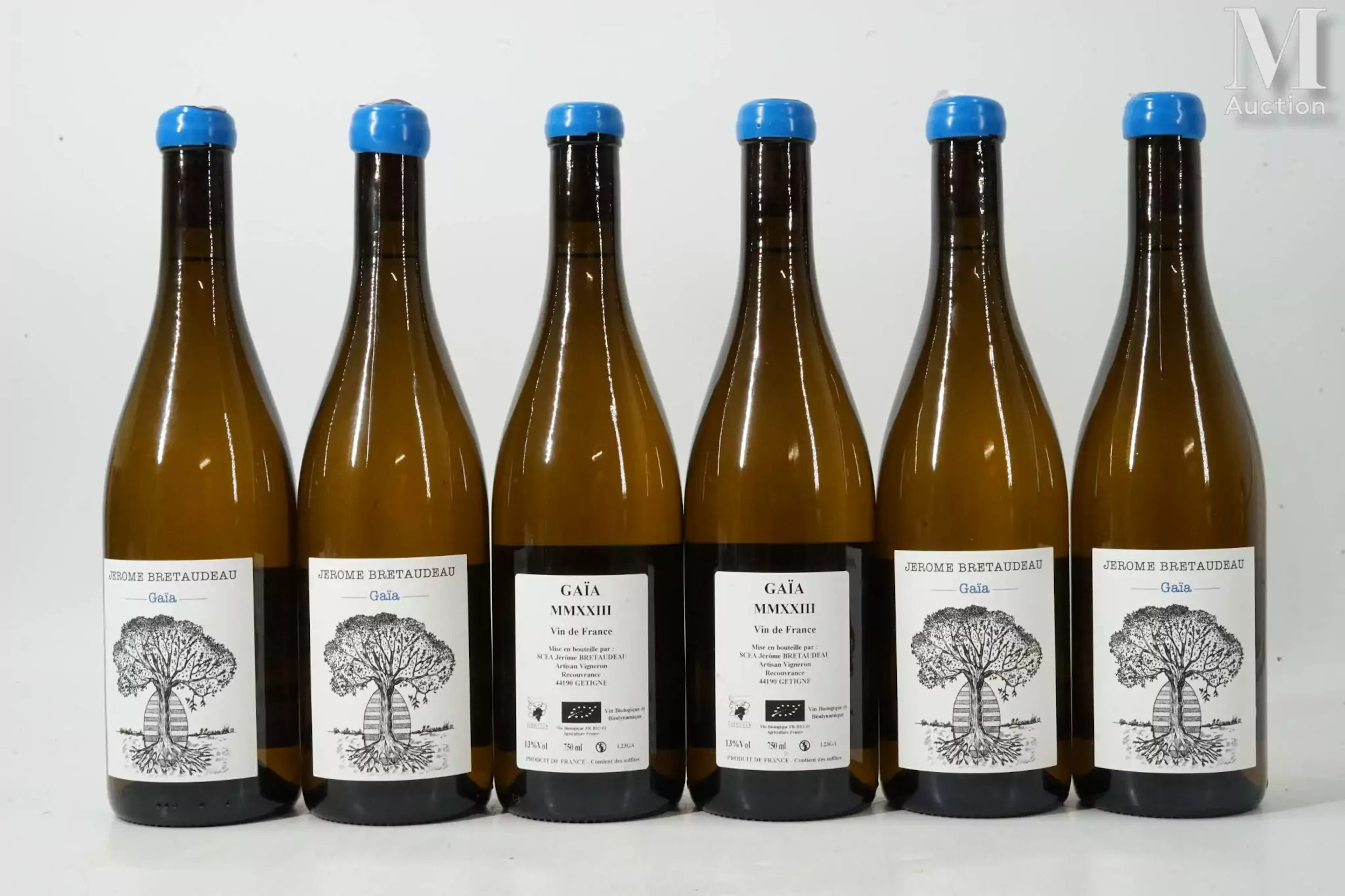 VIN DE FRANCE