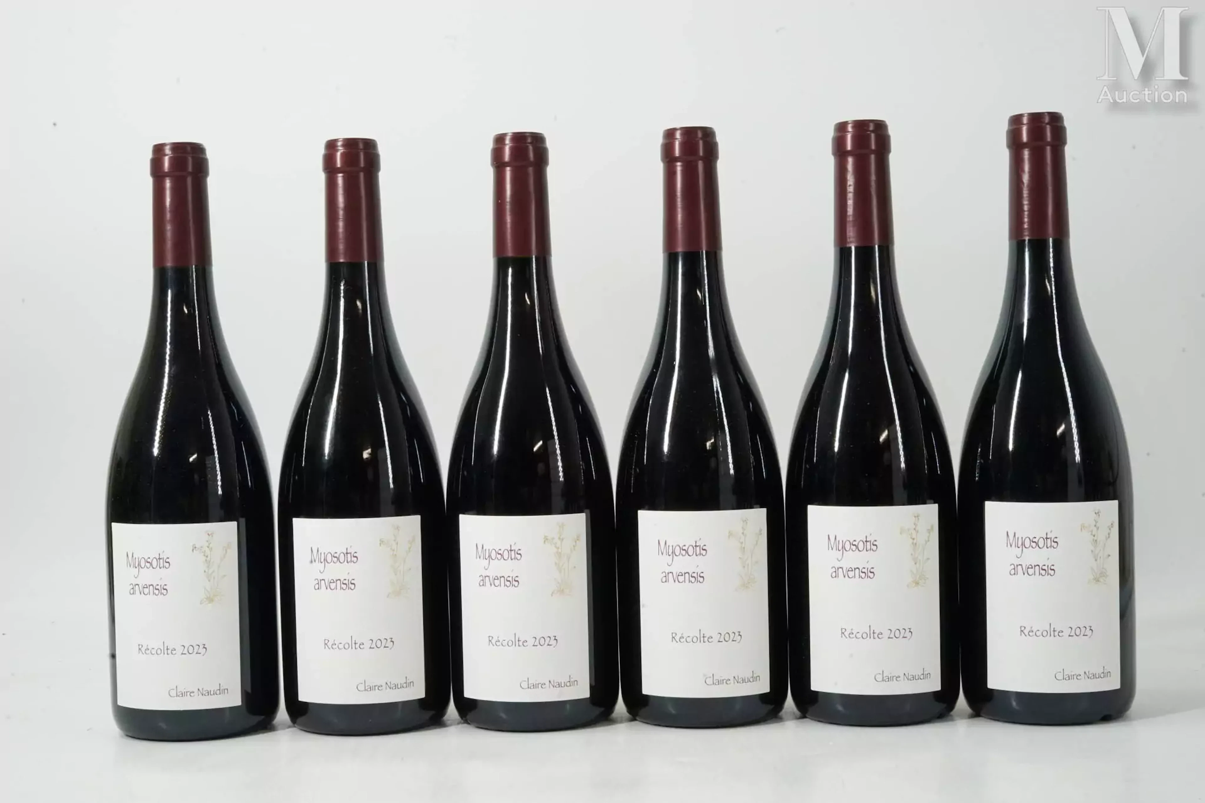 HAUTES-CÔTES-DE-NUITS