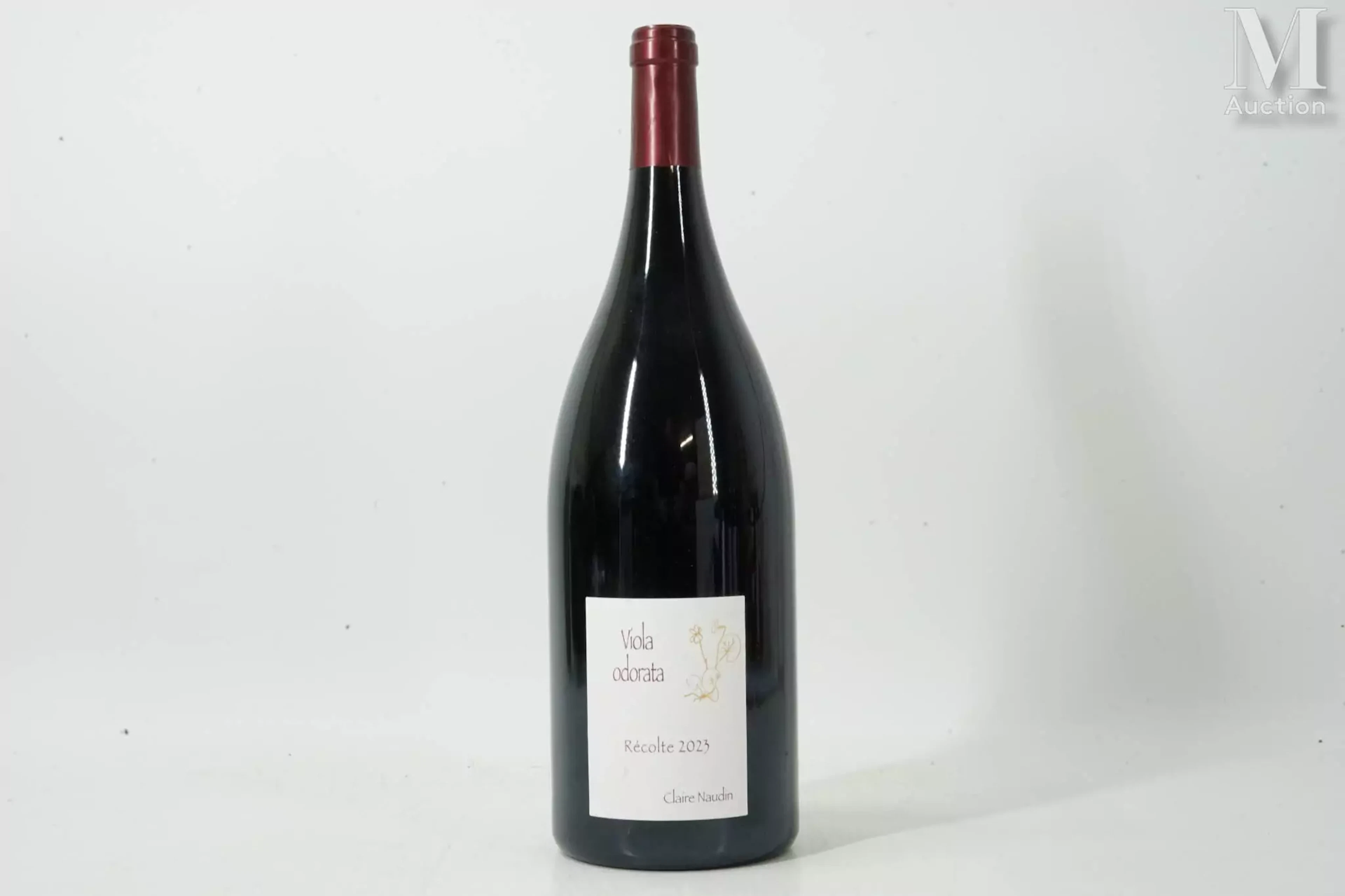 CÔTE-DE-NUITS-VILLAGES