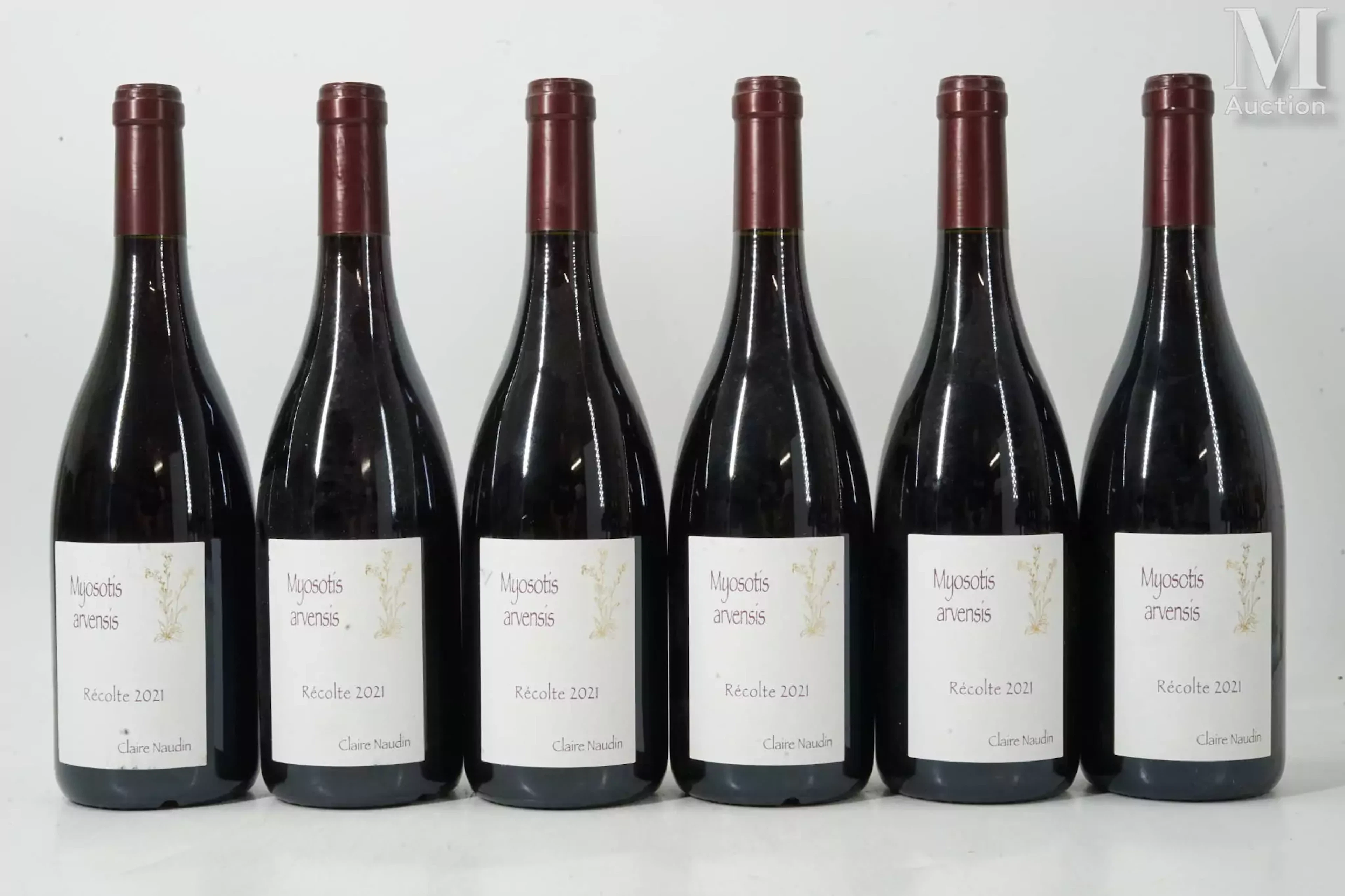 HAUTES-CÔTES-DE-NUITS