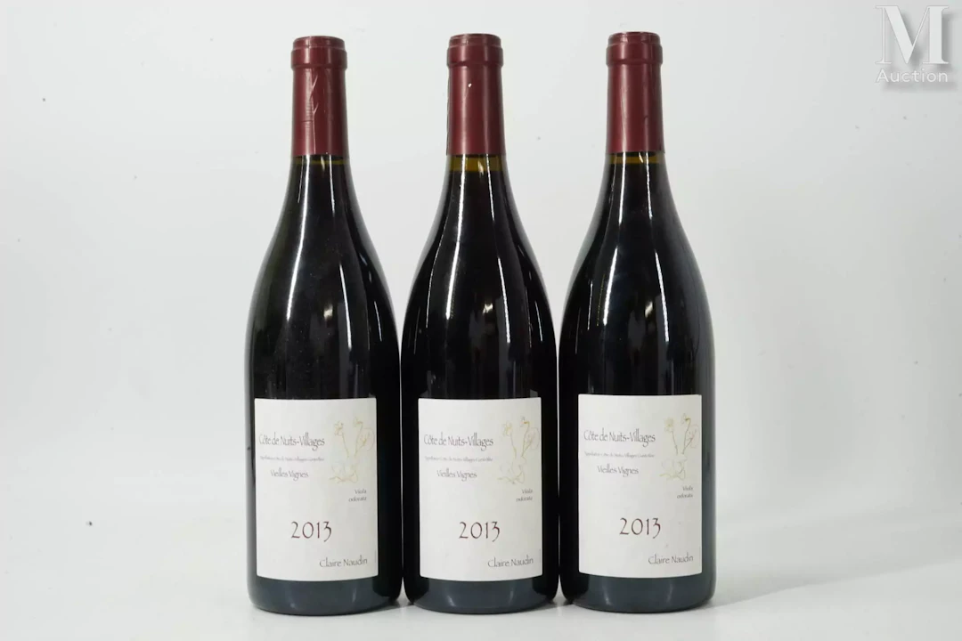 CÔTE-DE-NUITS-VILLAGES