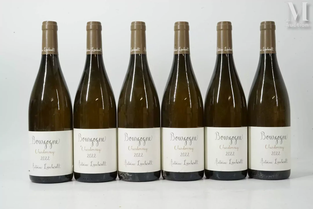 BOURGOGNE CHARDONNAY