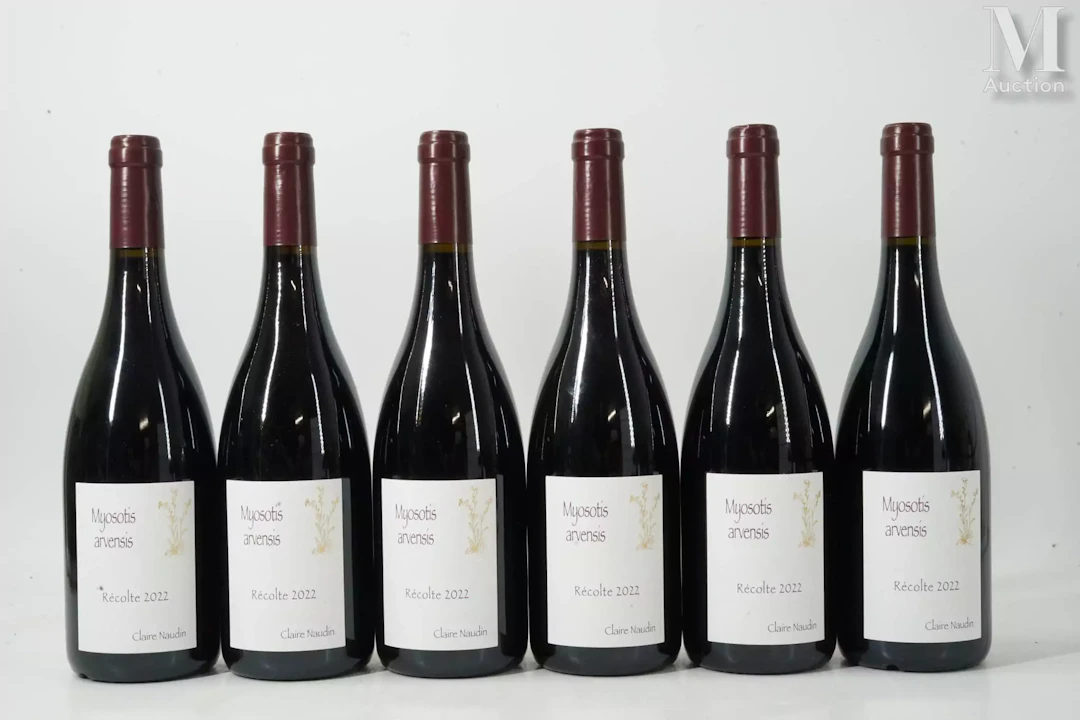HAUTES-CÔTES-DE-NUITS