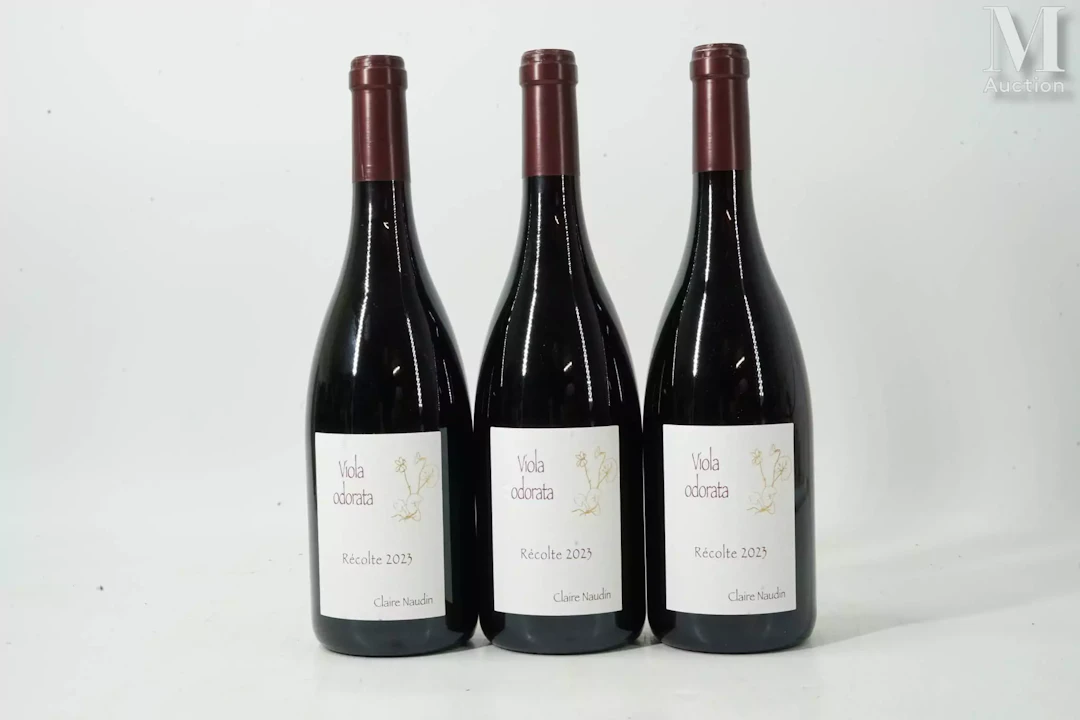 CÔTE-DE-NUITS-VILLAGES