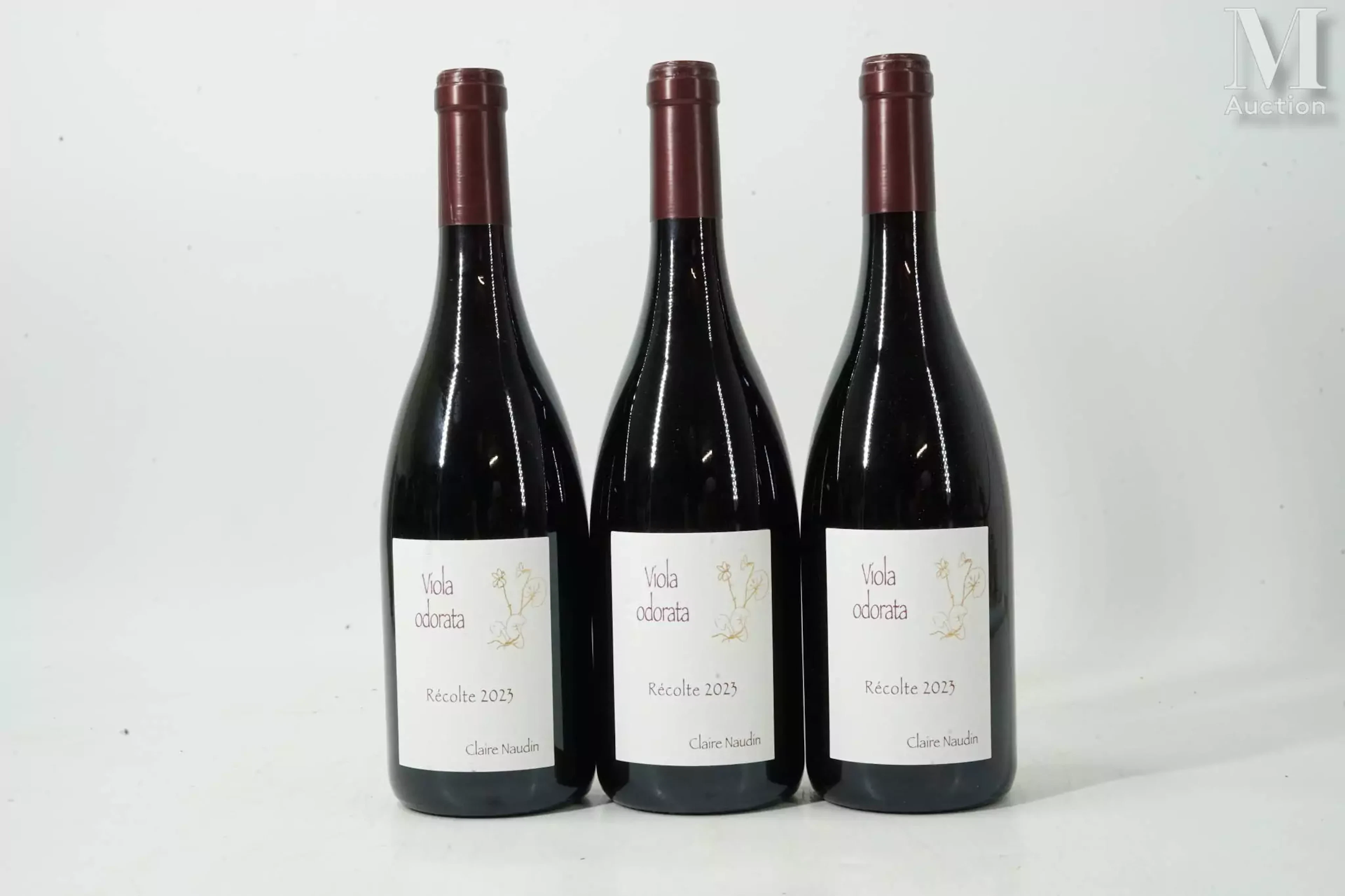 CÔTE-DE-NUITS-VILLAGES