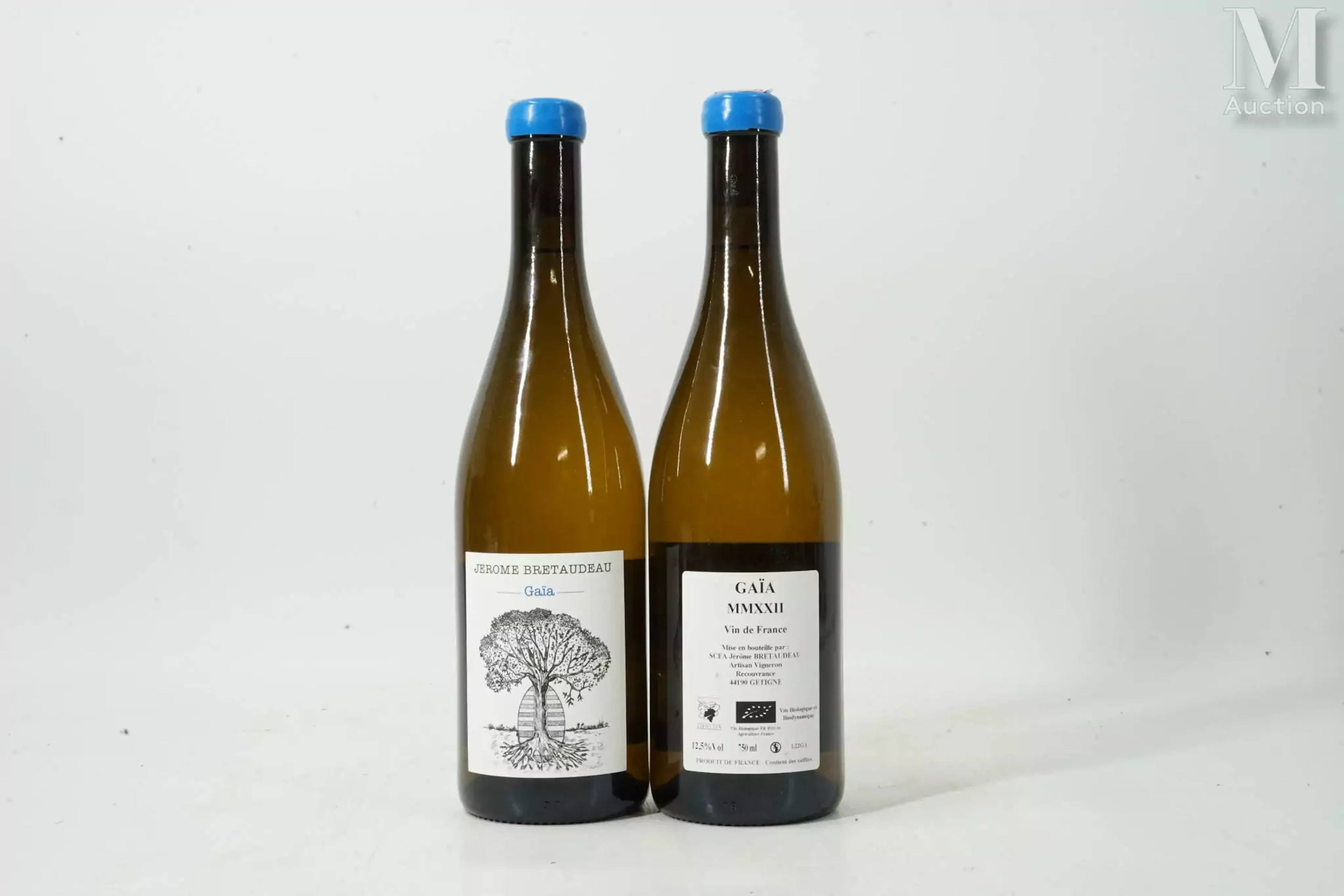 VIN DE FRANCE