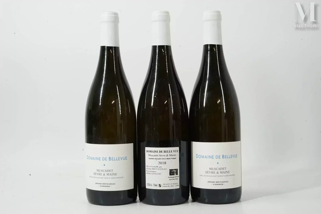 MUSCADET SÈVRES ET MAINE