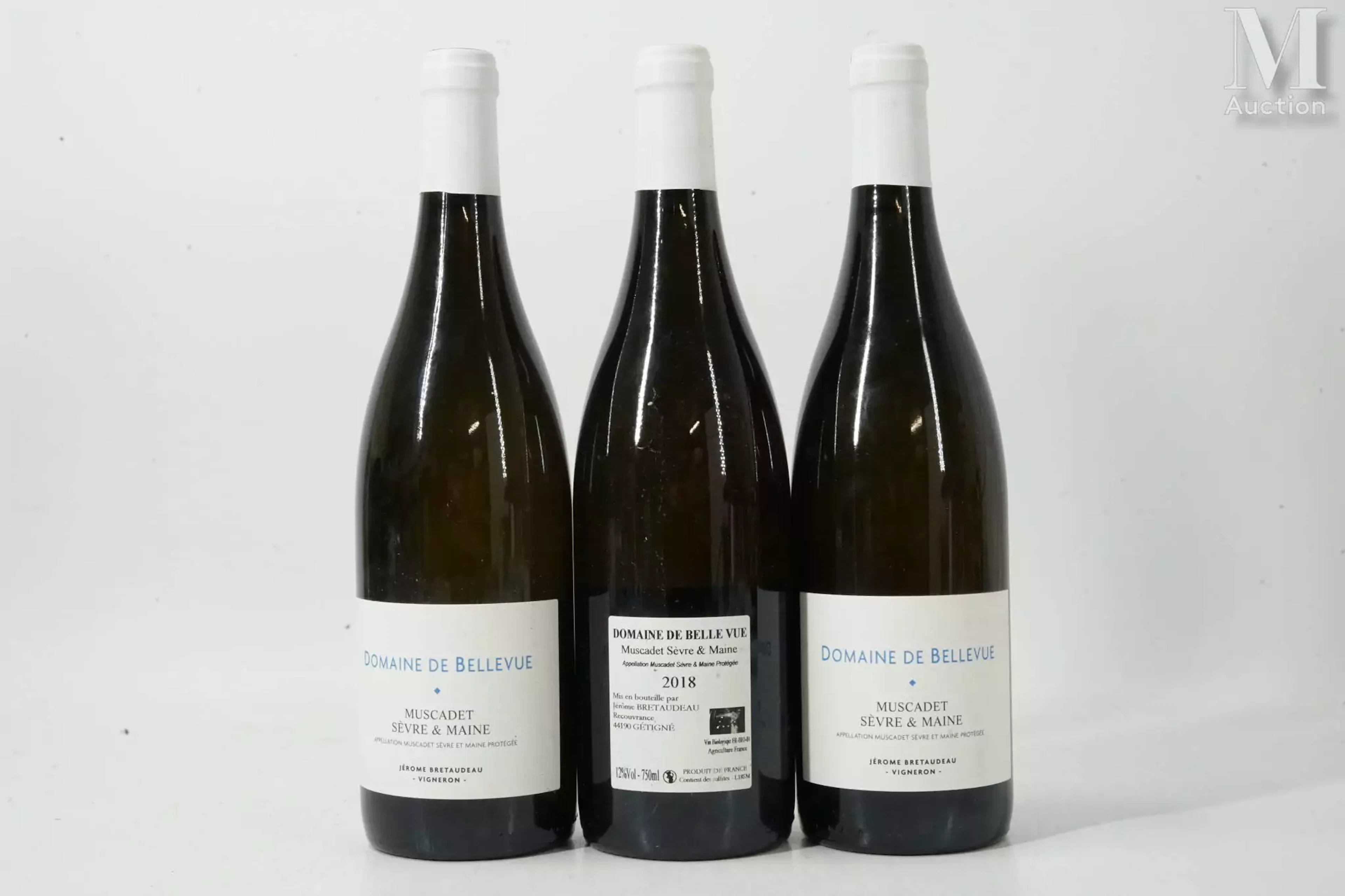 MUSCADET SÈVRES ET MAINE