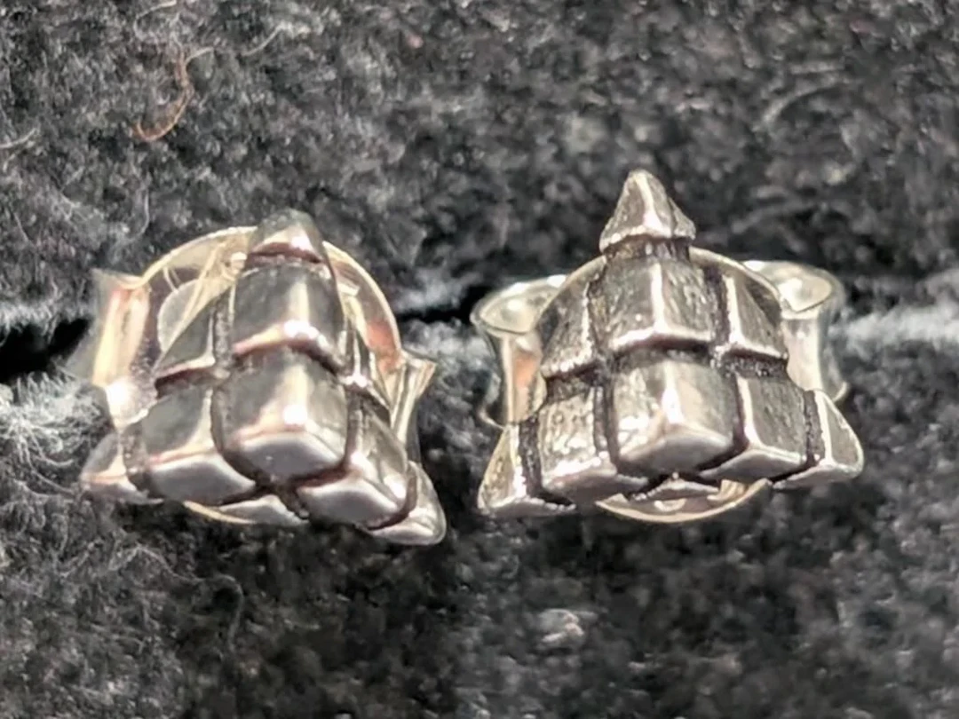 $20, SilverEarring, appraised/retail value $20