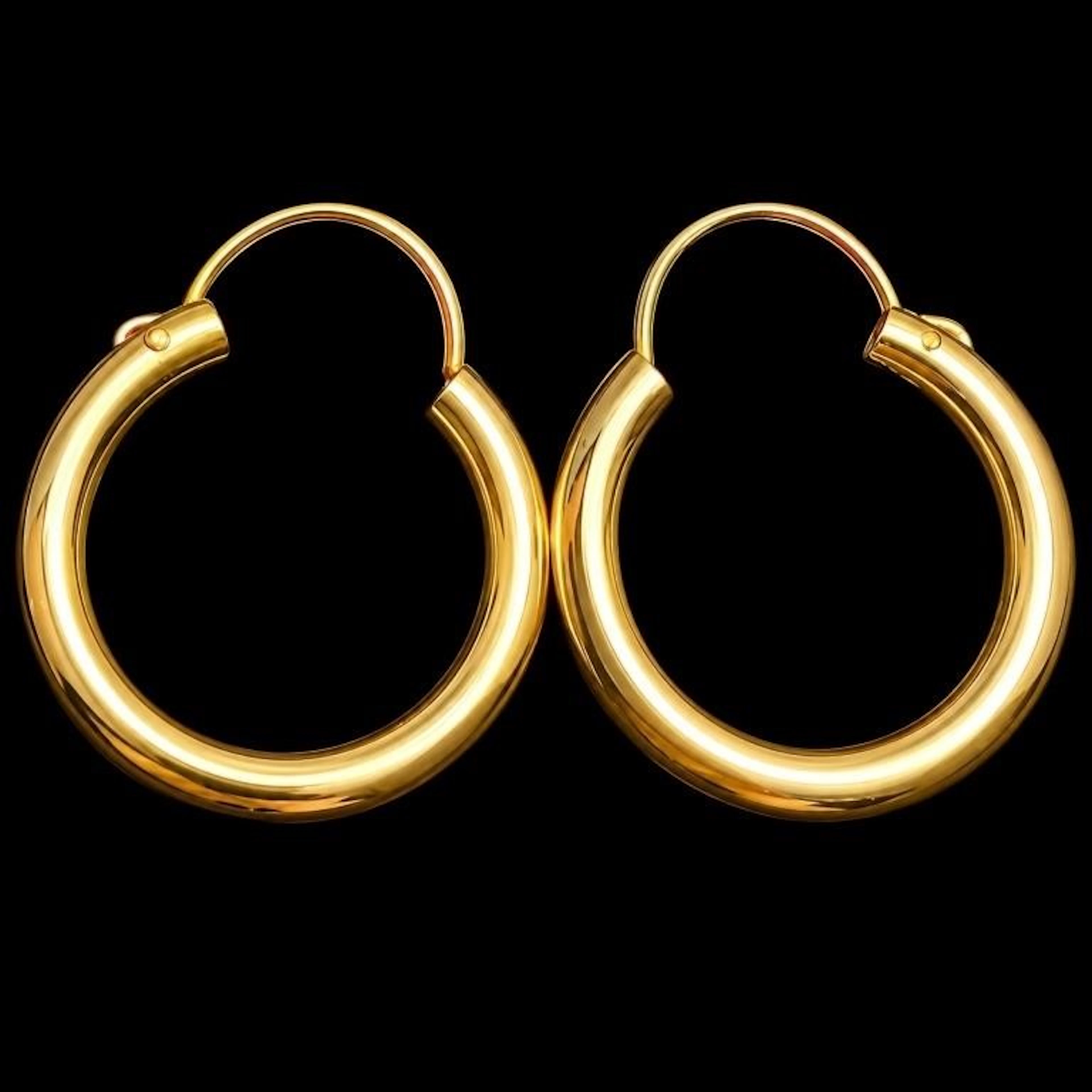 $700, 10k(1.04g), earring, retail value $700
