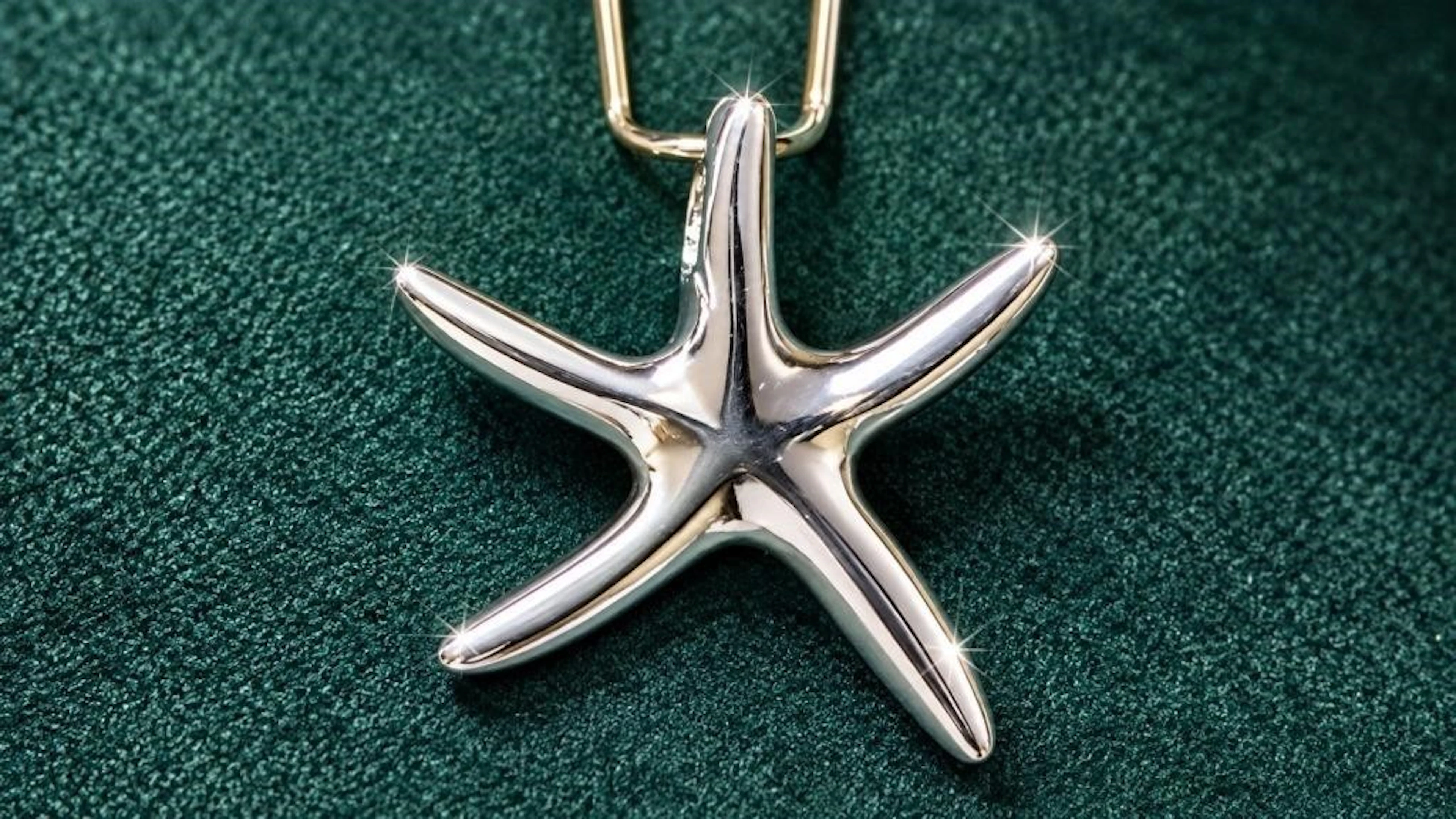 $55, Silver(2.76g), Pendant, appraised/retail valu
