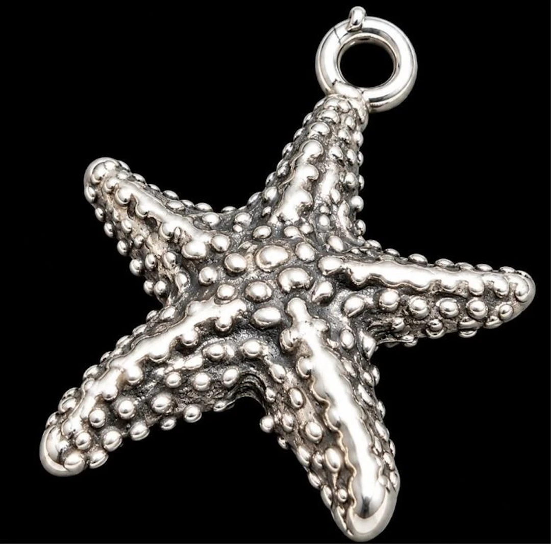 $100, silver(2.2g), pendant, retail value $100