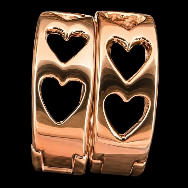 $80, silver(2.3g), earing, retail value $80