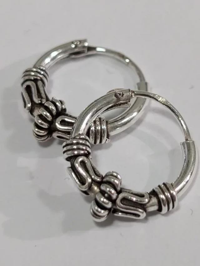 $30, SilverEarring, appraised/retail value $30