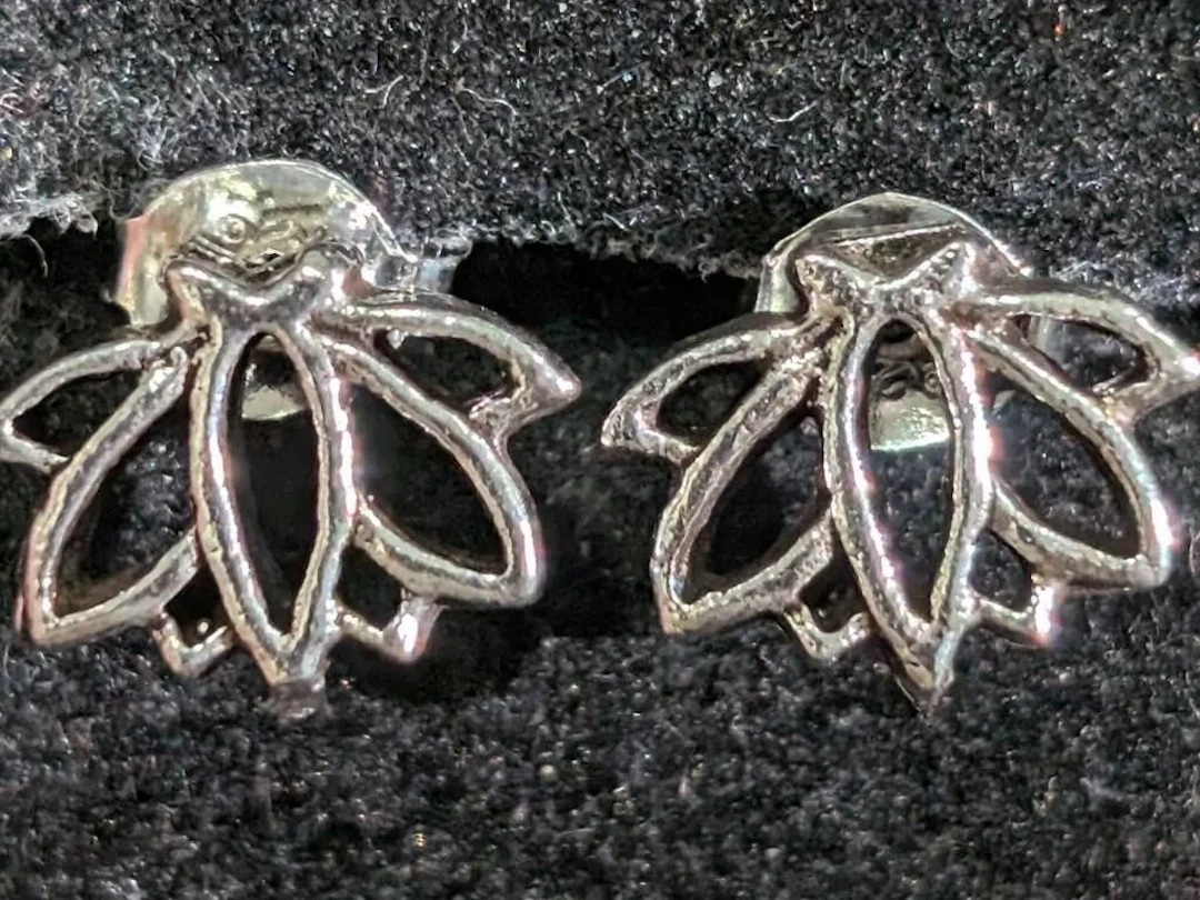 $30, SilverEarring, appraised/retail value $30