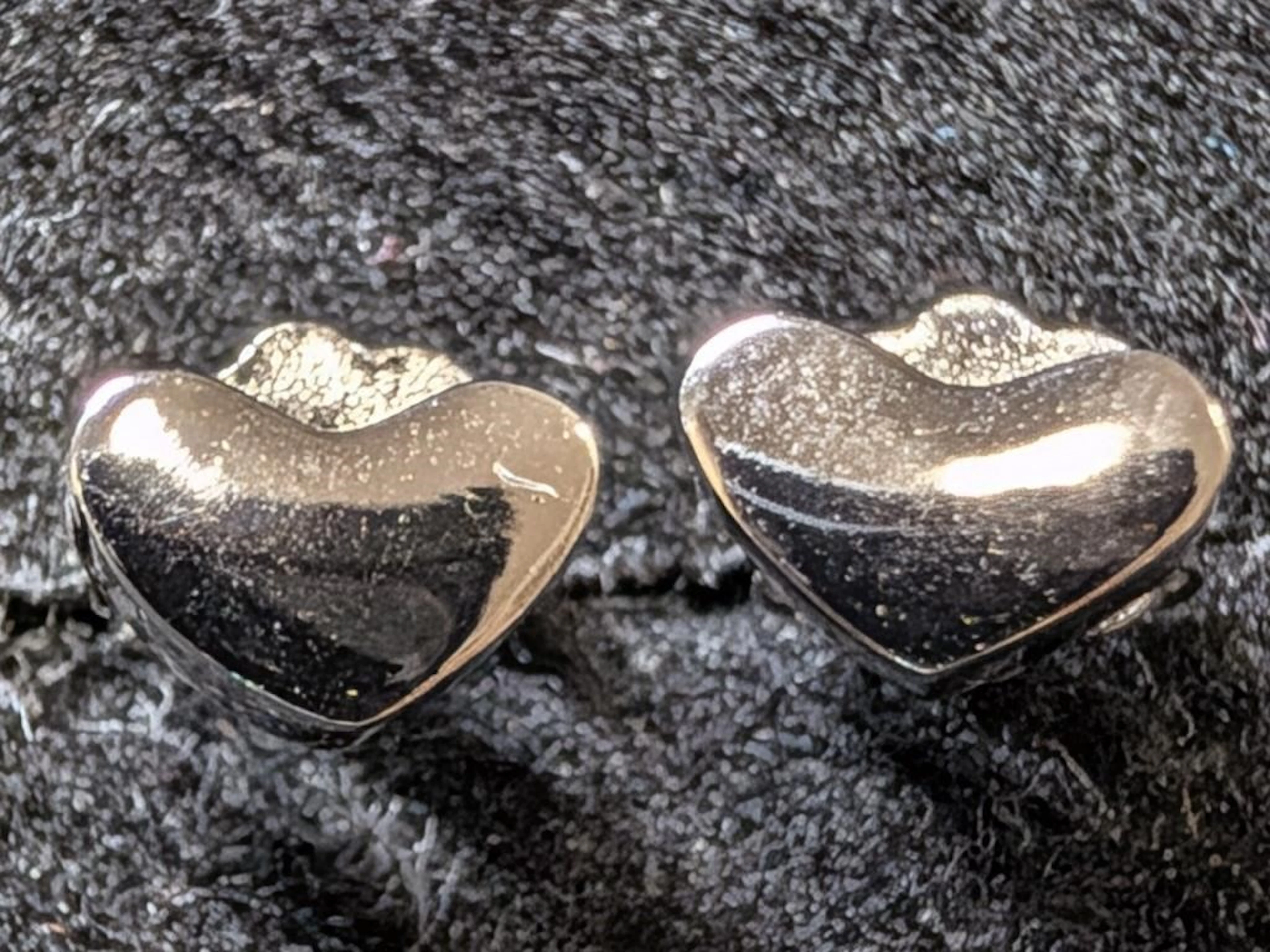 $20, SilverEarring, appraised/retail value $20