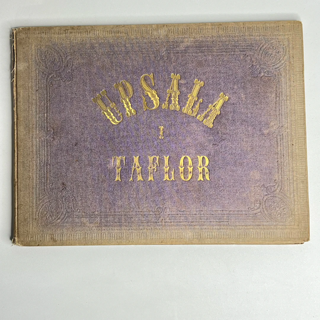 "Upsala i Taflor" av Alexander Nay (1870) – 12 litografier