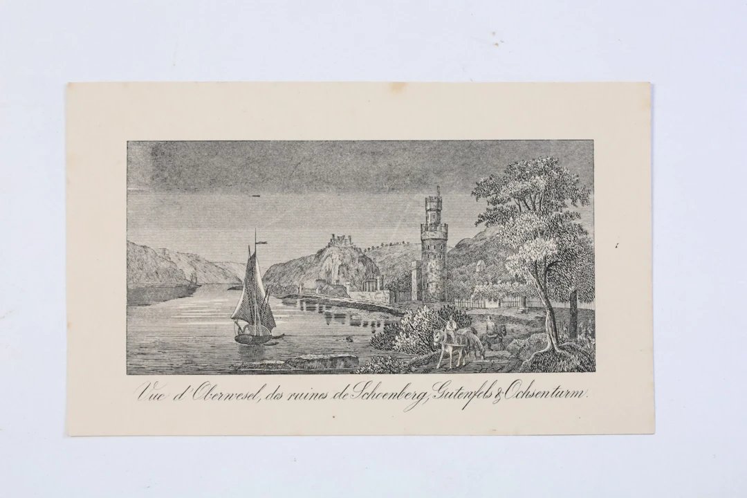 TYSKLAND, OBERWESEL VID RHEN MED OCHSENTURM OCH BORGRUINER, TOPOGRAFISKT