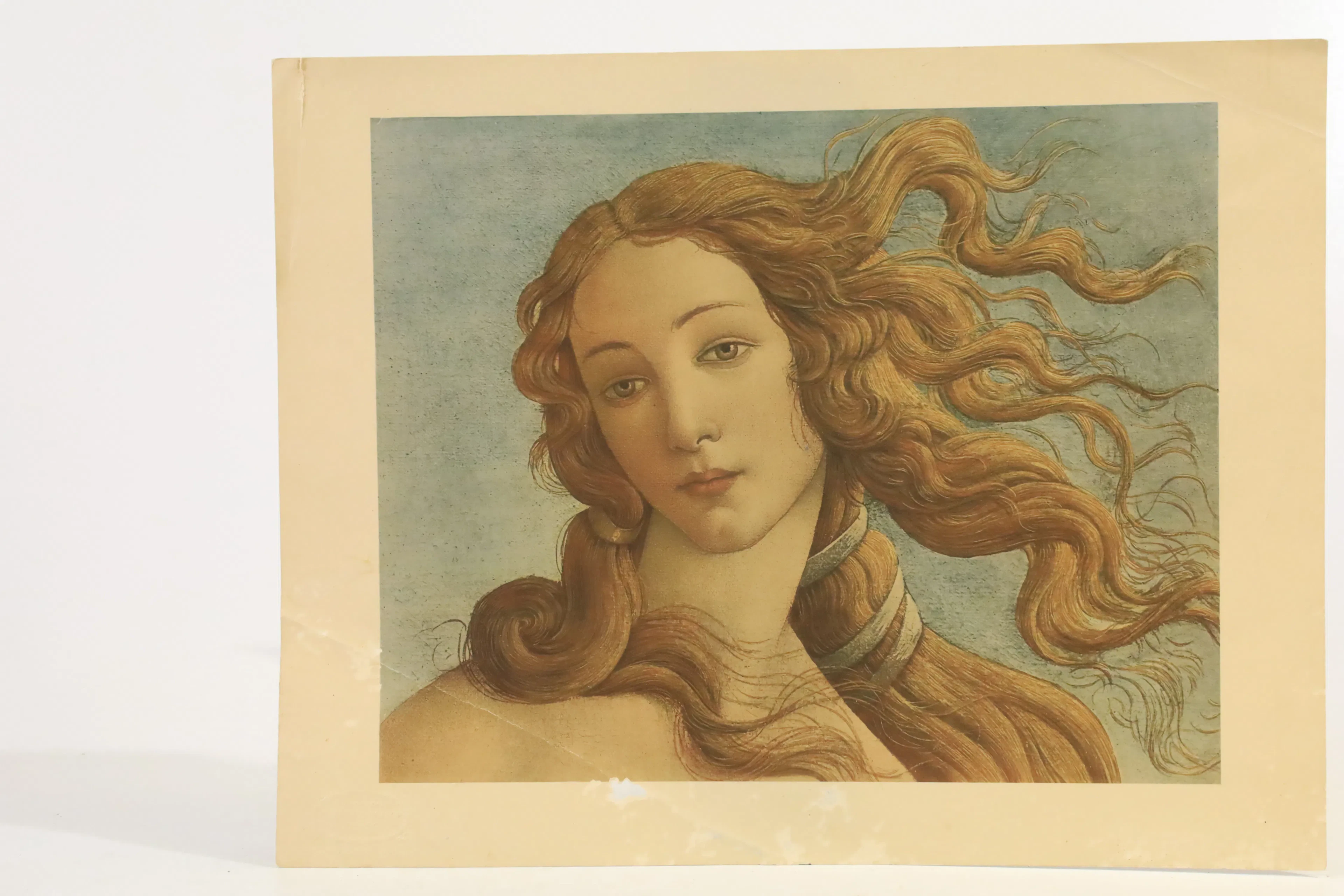 ITALIEN, ROM. EFTER SANDRO BOTTICELLI (1445–1510). ”VENUS FÖDELSE”