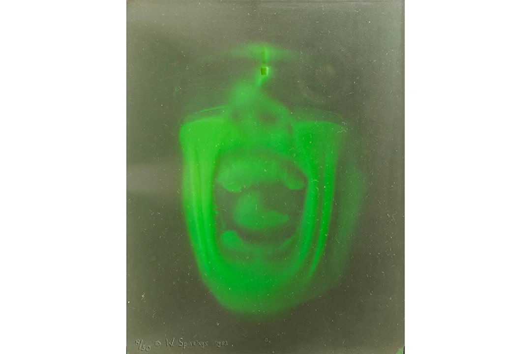 SPIERINGS WALTER (° 1956) (NL) hologram n° 8/50 : "De Schreeuw" -