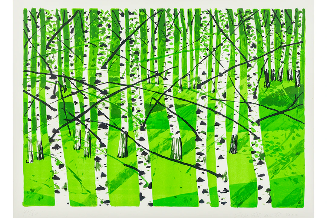 MÜLLER JOSEF FELIX (° EGGERSRIET 1955) kleurlitho (op BFK-Rives) genummerd