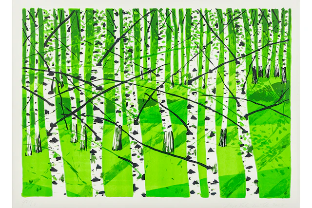 MÜLLER JOSEF FELIX (° EGGERSRIET 1955) kleurlitho (op BFK-Rives) genummerd