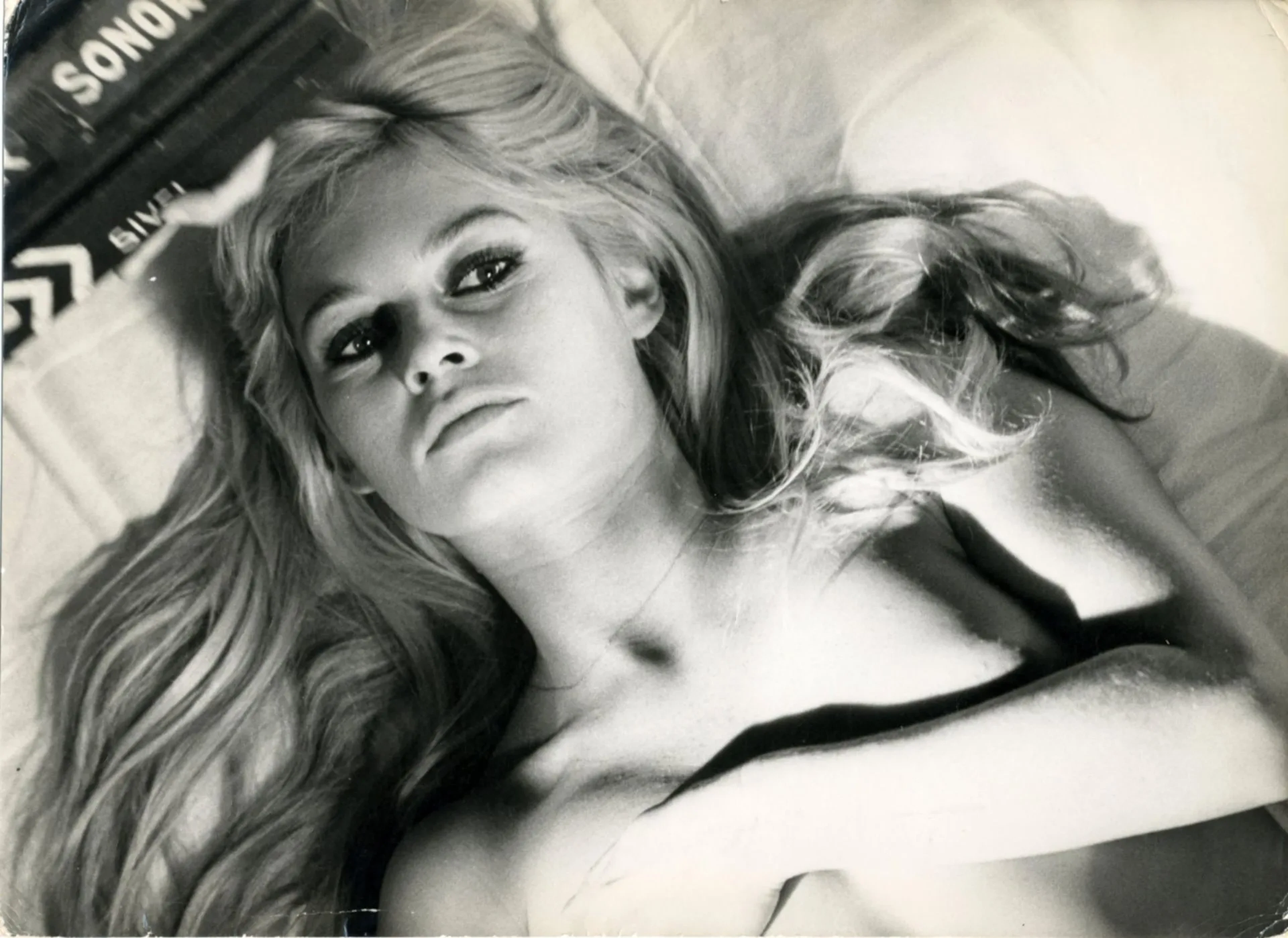 Brigitte Bardot - Lot 104