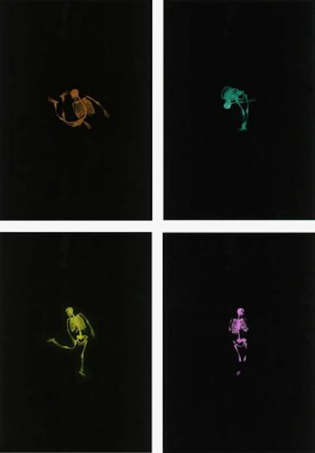 Michael Growe - Tanz
