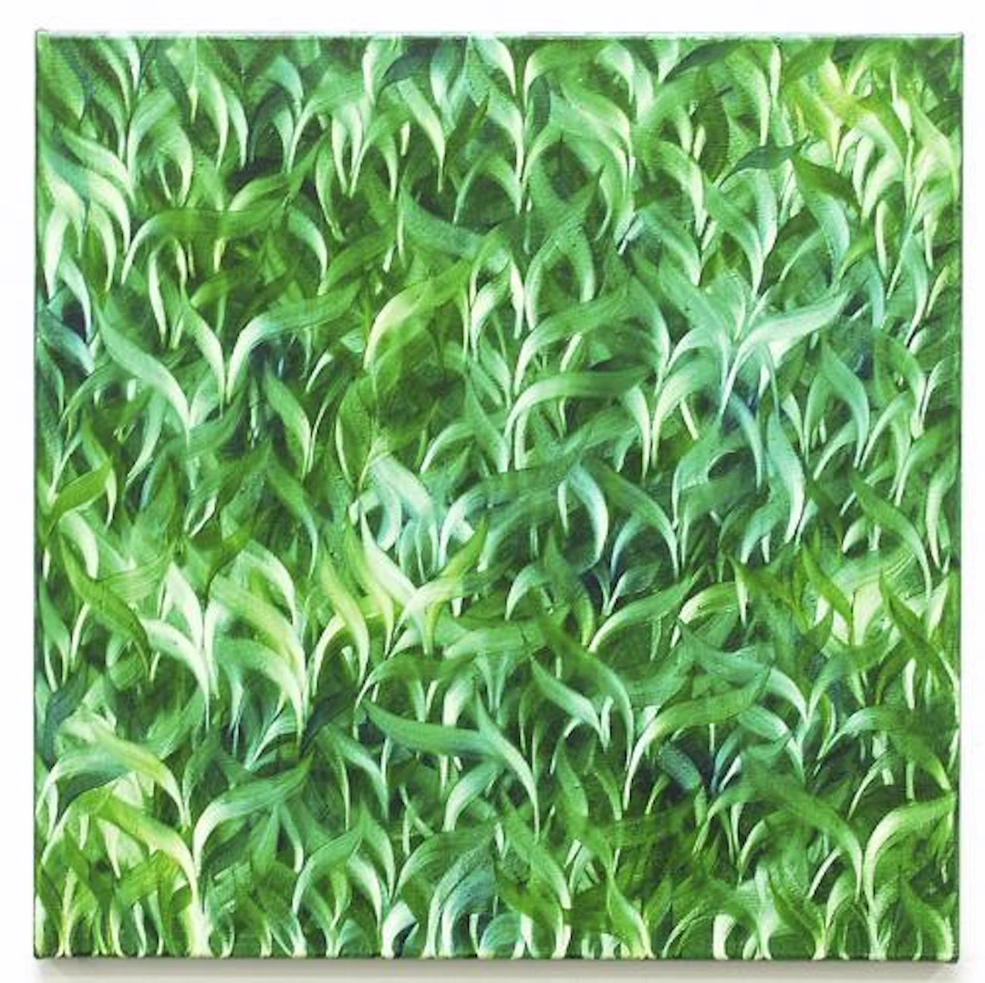 Hecke - Vera Leutloff