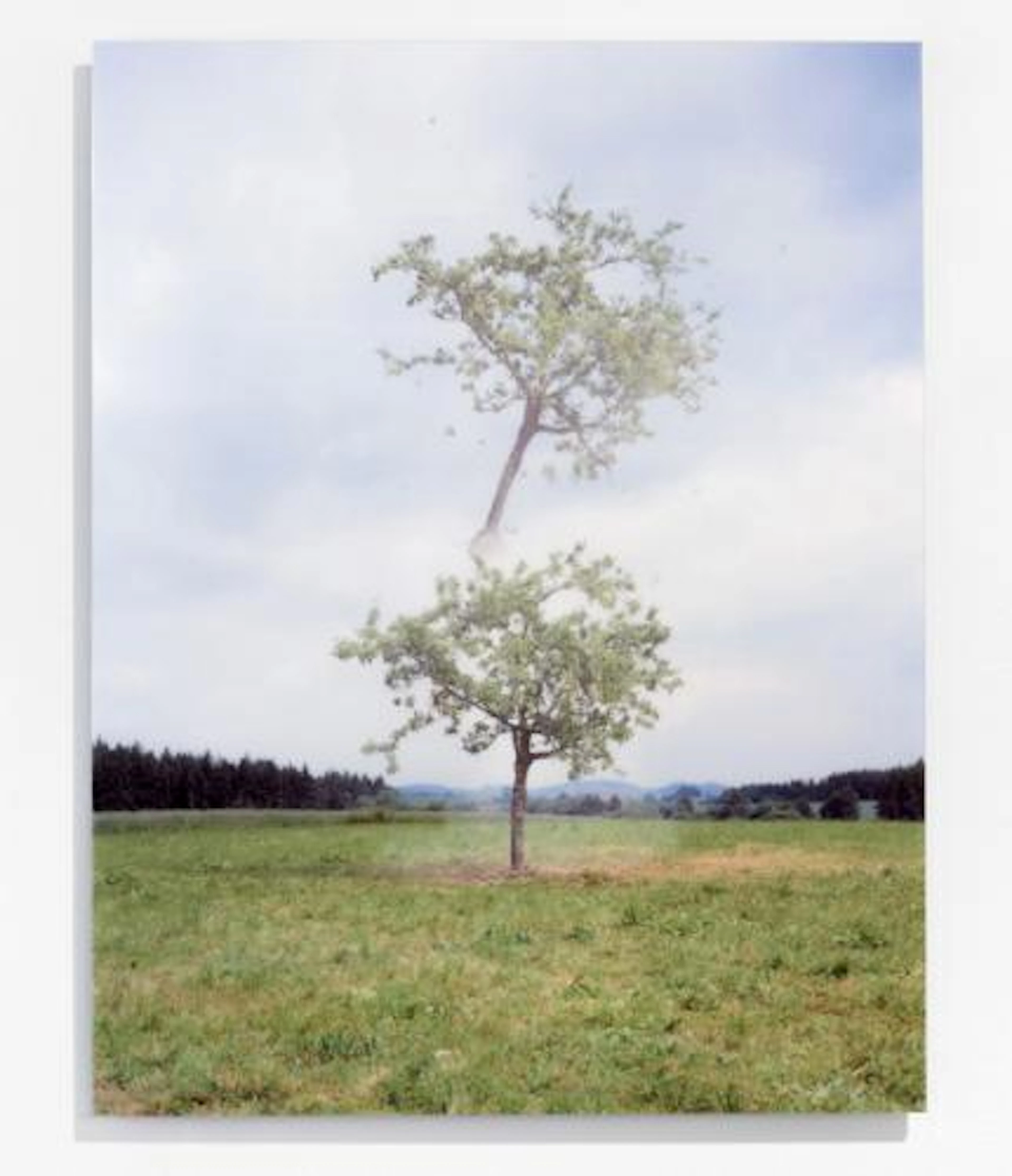 Michael Sailstorfer - Raketenbaum 2f