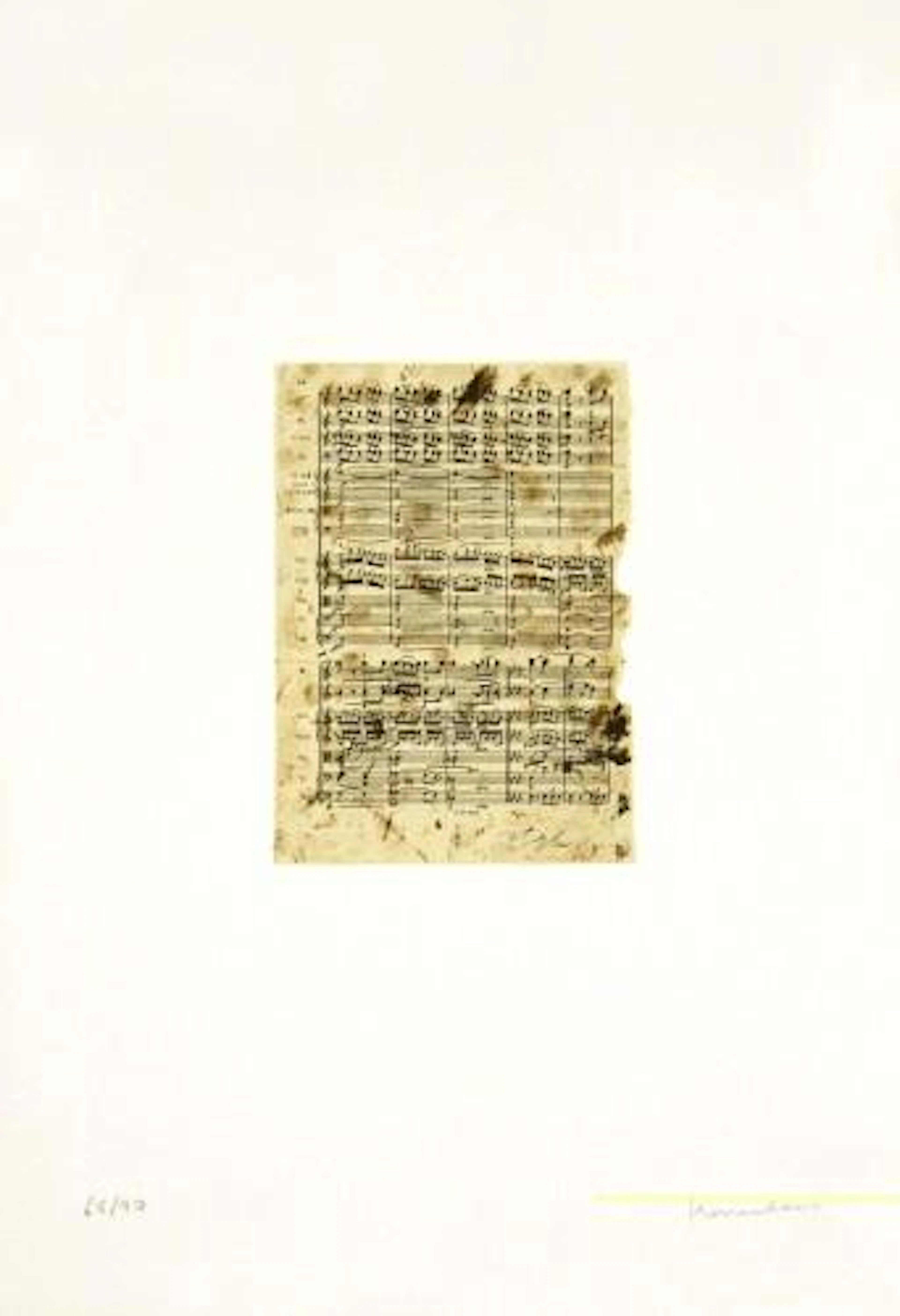 Jannis Kounellis - Elektra
