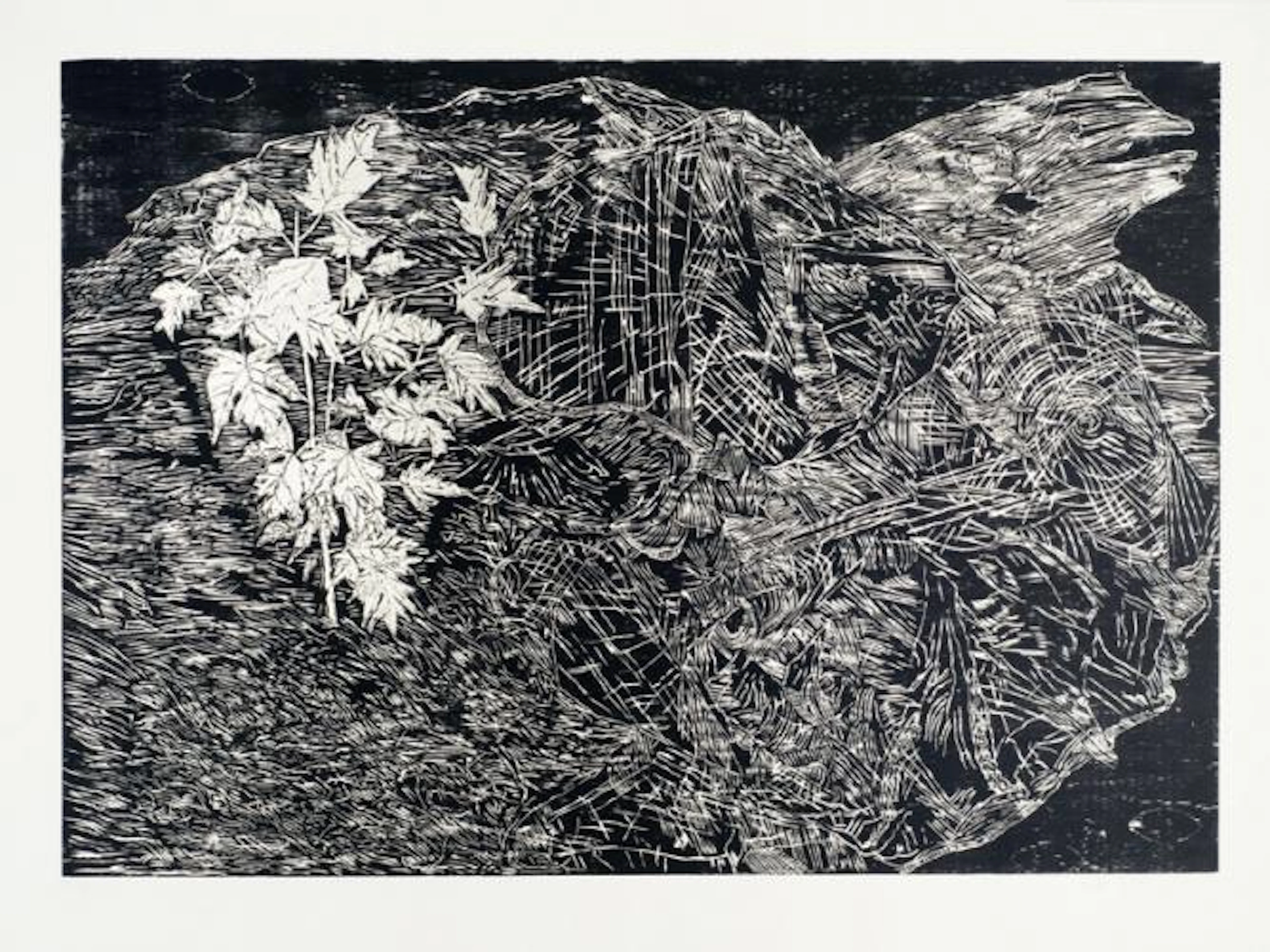 Kiki Smith - Remember